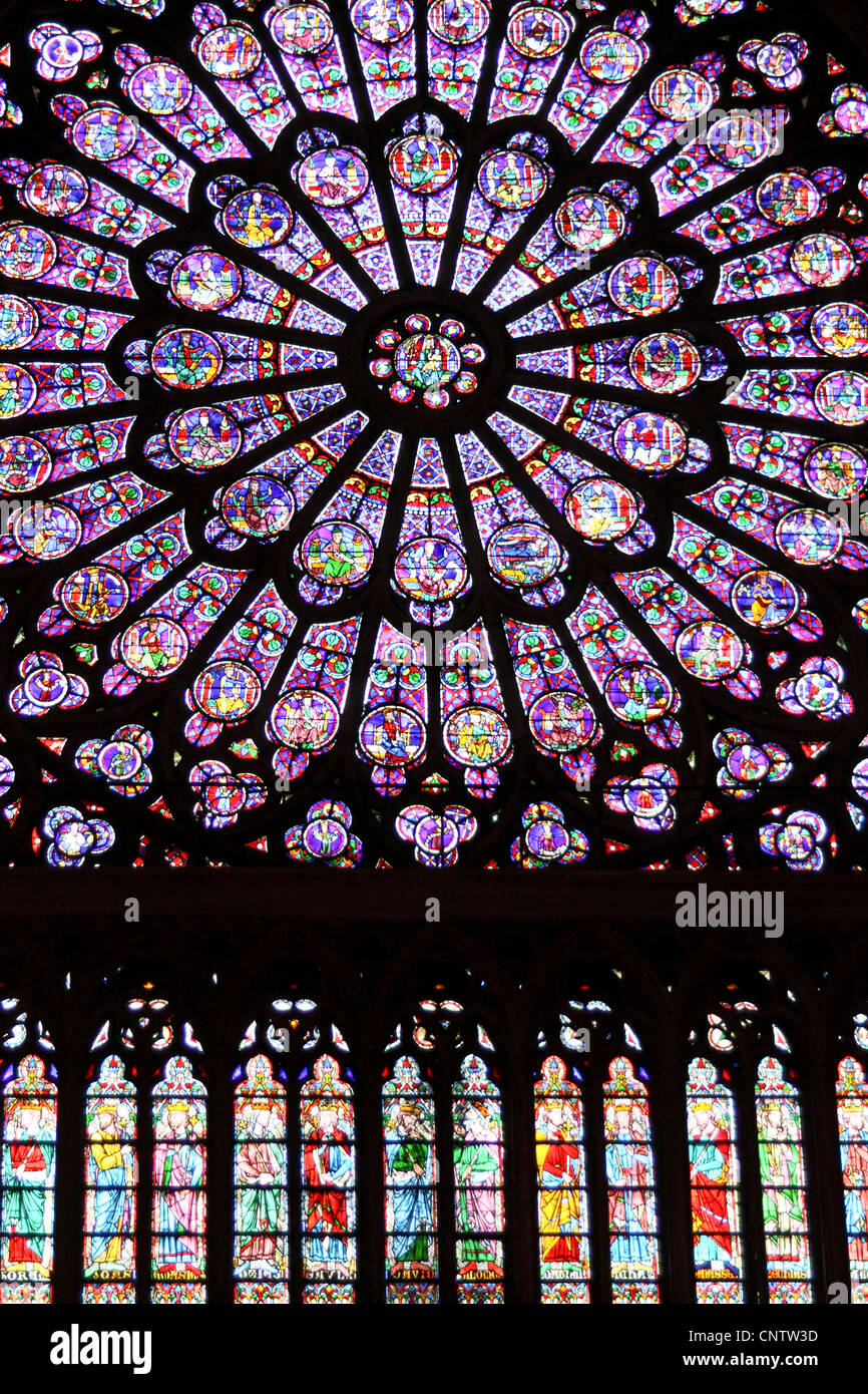 Une rose dans la cathédrale Notre Dame, Paris, France Banque D'Images