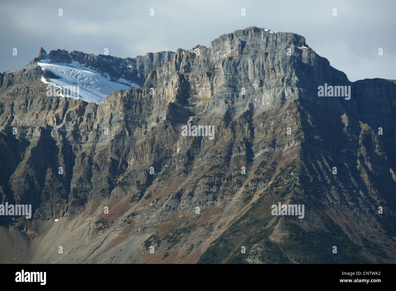 Les montagnes sculptées de Glacier et de crêtes, Columbia Icefields Parkway, Rocheuses, Banff, Jasper, Alberta, Canada Banque D'Images