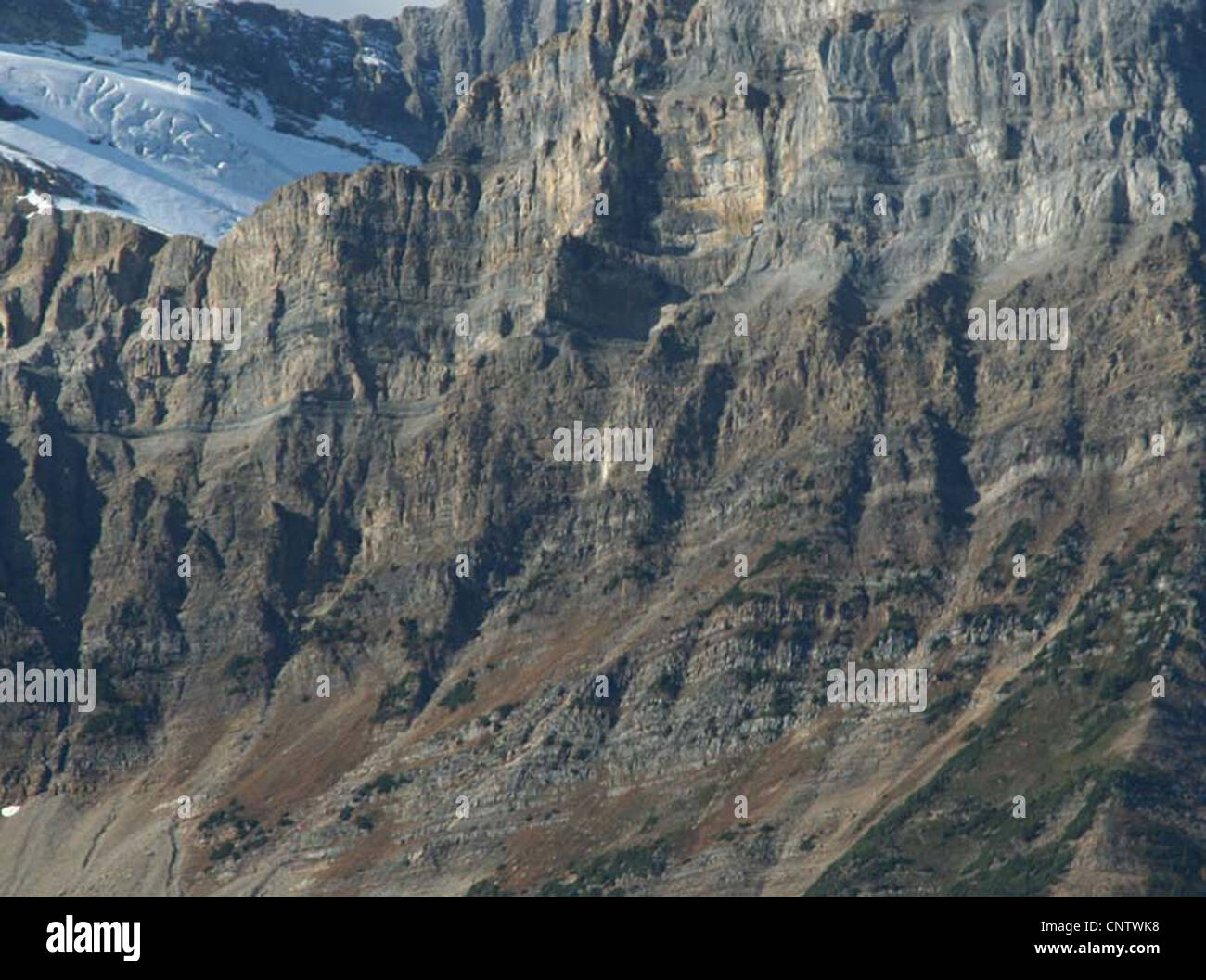 Les montagnes sculptées de Glacier et de crêtes, Columbia Icefields Parkway, Rocheuses, Banff, Jasper, Alberta, Canada Banque D'Images