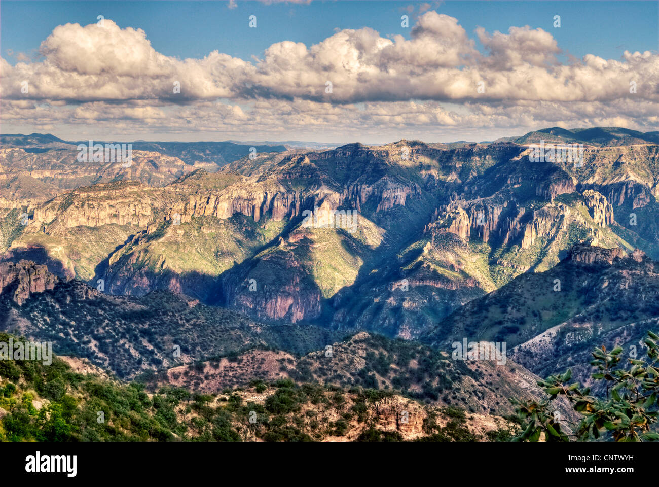 Avis de Barrancas del Cobre, Tararecua et urique de Posada Barrancas. Banque D'Images