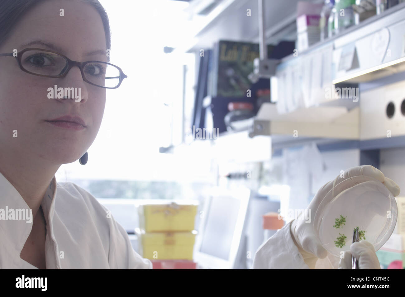 Scientist holding petri dish in lab Banque D'Images