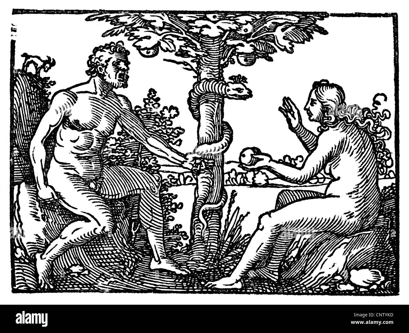 Religion, scènes bibliques, Adam et Eve, coupe de bois de Hans Sebald Beham, 'Biblicae historiae', 1537, droits additionnels-Clearences-non disponible Banque D'Images