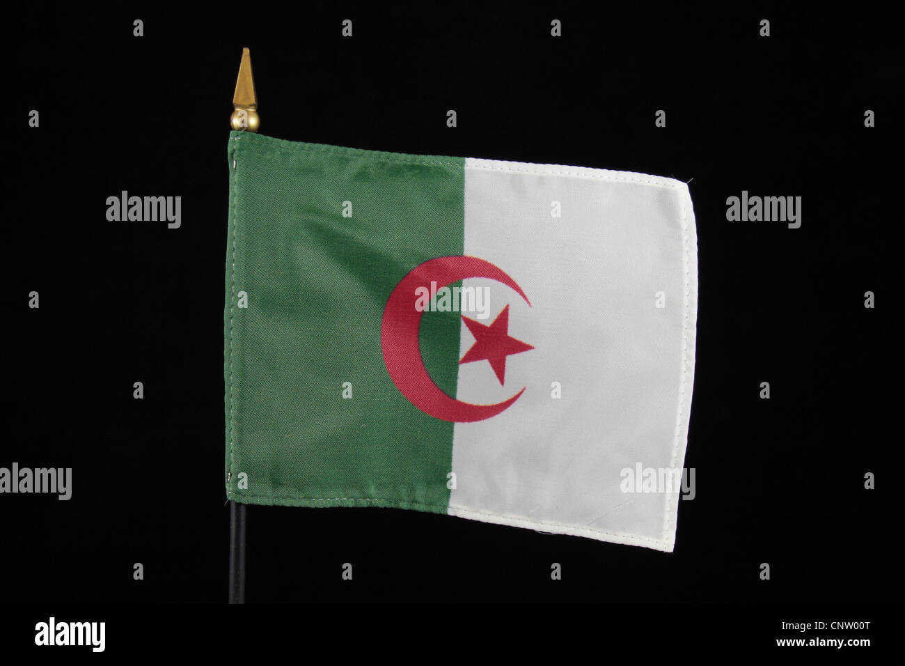 Le drapeau national de l'Algérie sur un fond noir. Banque D'Images