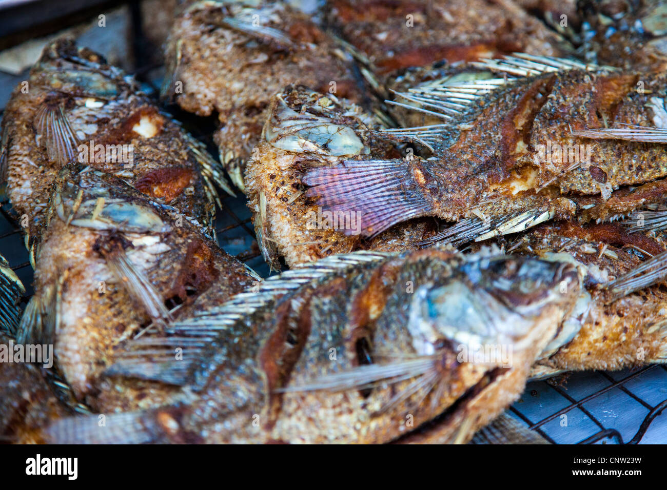 Le poisson cuit à Khlong Toey market à Bangkok, Thaïlande Banque D'Images