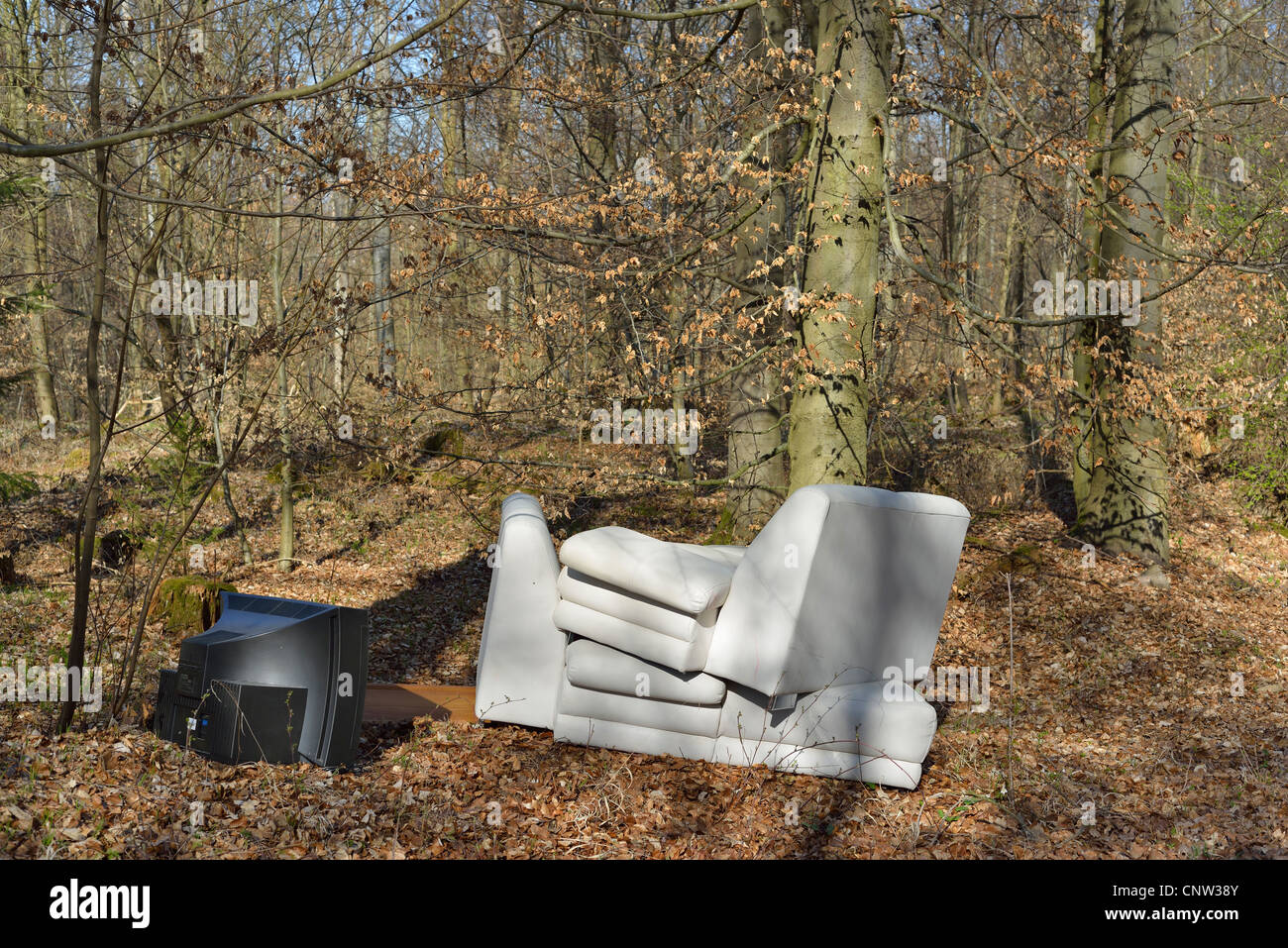 Décharge illégale dans la forêt - une table blanche et un téléviseur noir, debout au milieu des arbres Banque D'Images