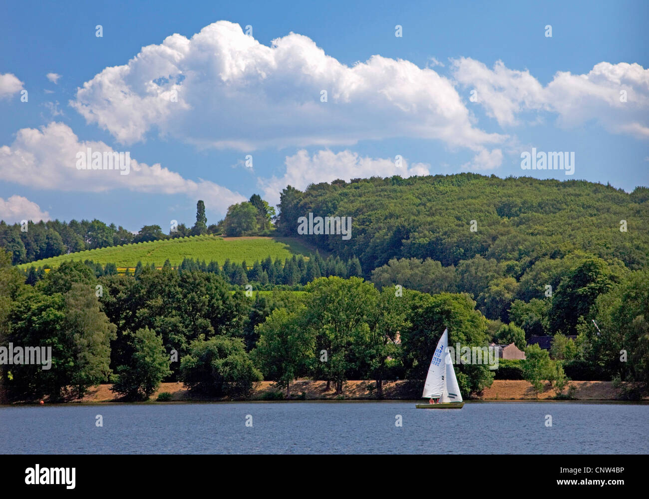 Vue du lac Baldeney, Baldeneysee , Allemagne, Rhénanie du Nord-Westphalie, région de la Ruhr, à Essen Banque D'Images