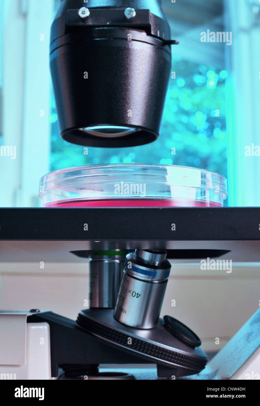 Close up of microscope in lab Banque D'Images