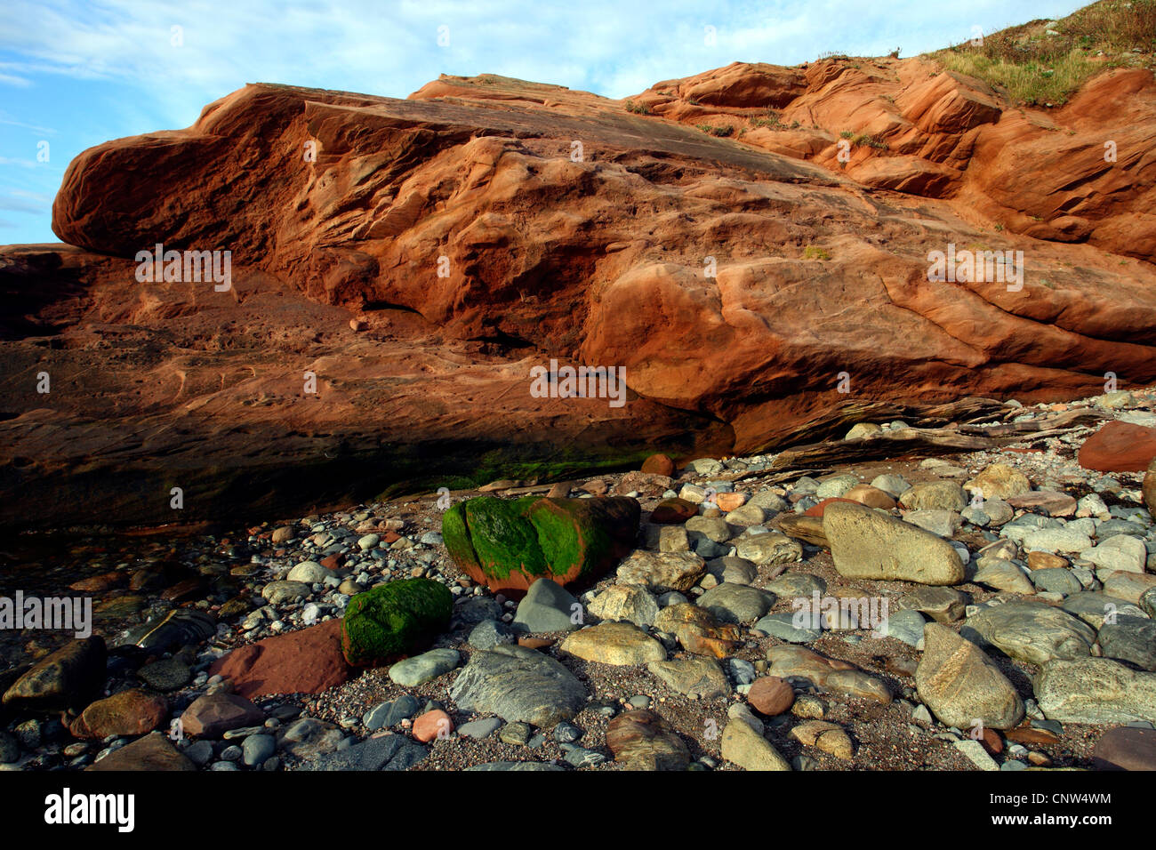 Les roches du littoral, le Canada, la Nouvelle-Écosse Banque D'Images