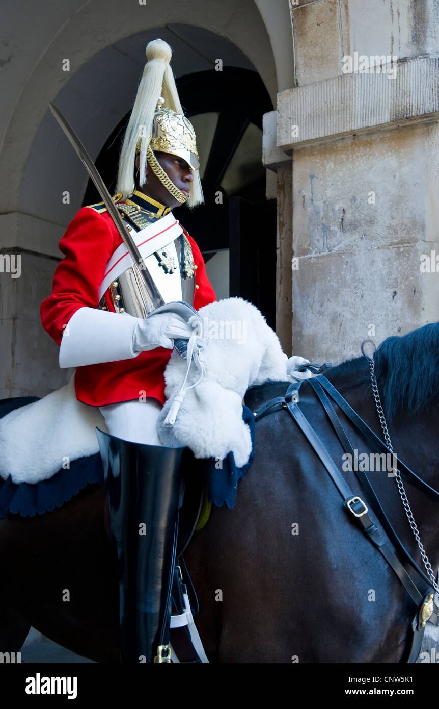 Europe Angleterre Londres, une sentinelle de la Horse Guards palace Banque D'Images