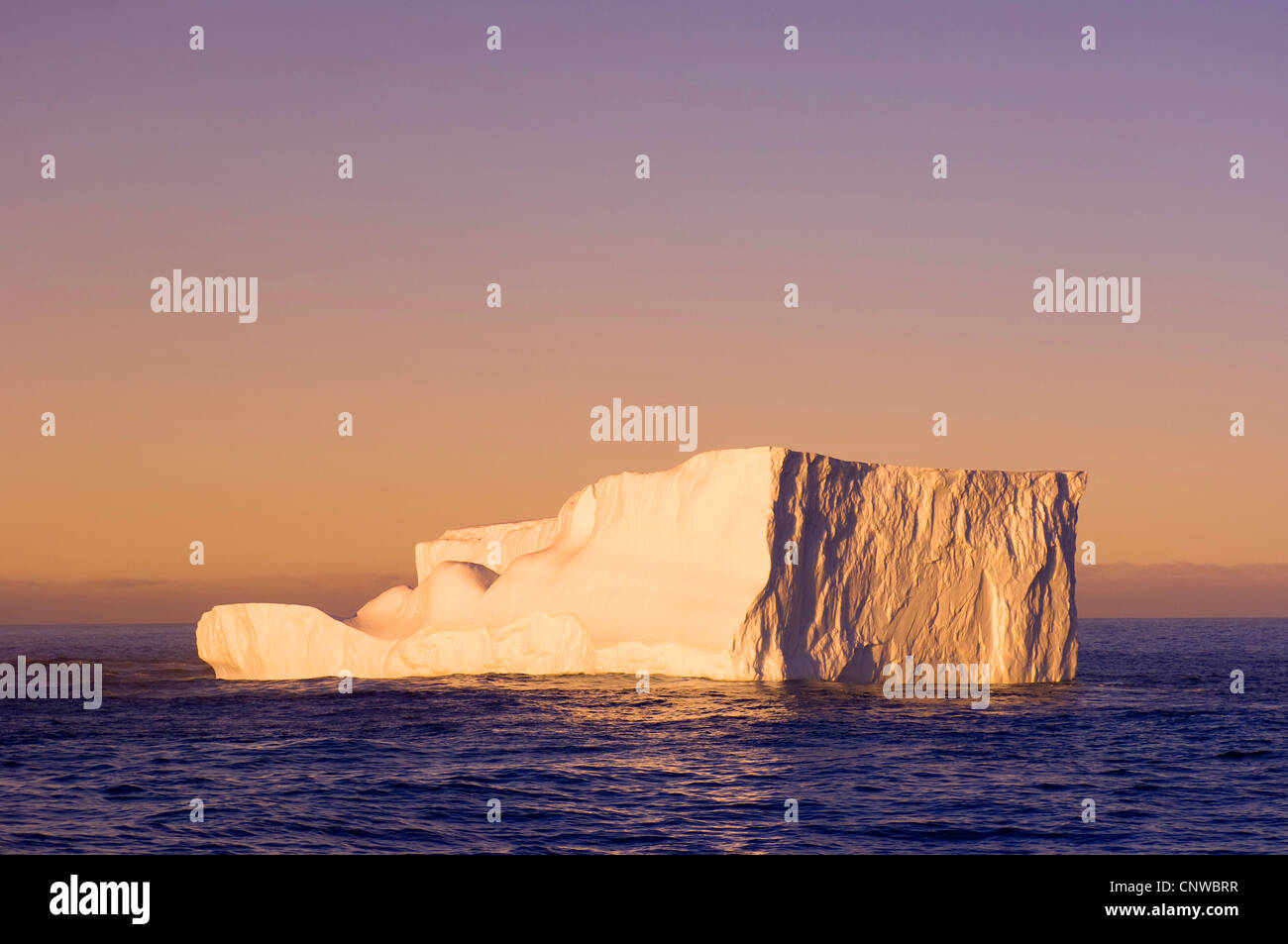 Icebrerg éclairée par le détroit de Gerlache en Antarctique, Banque D'Images