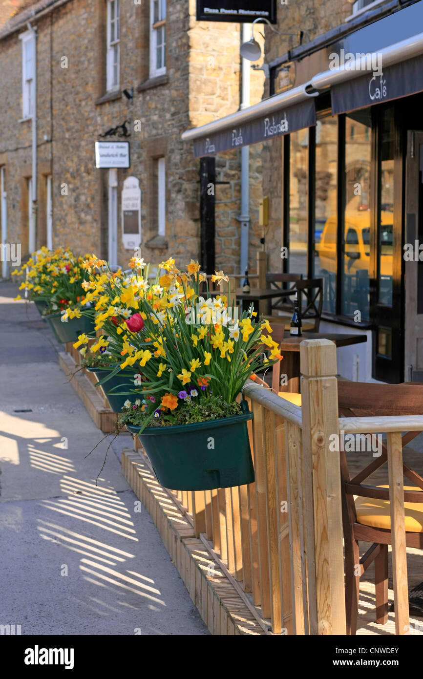 Jardin creux rempli de jonquilles et narcisses à l'extérieur d'un restaurant au printemps en Angleterre Banque D'Images
