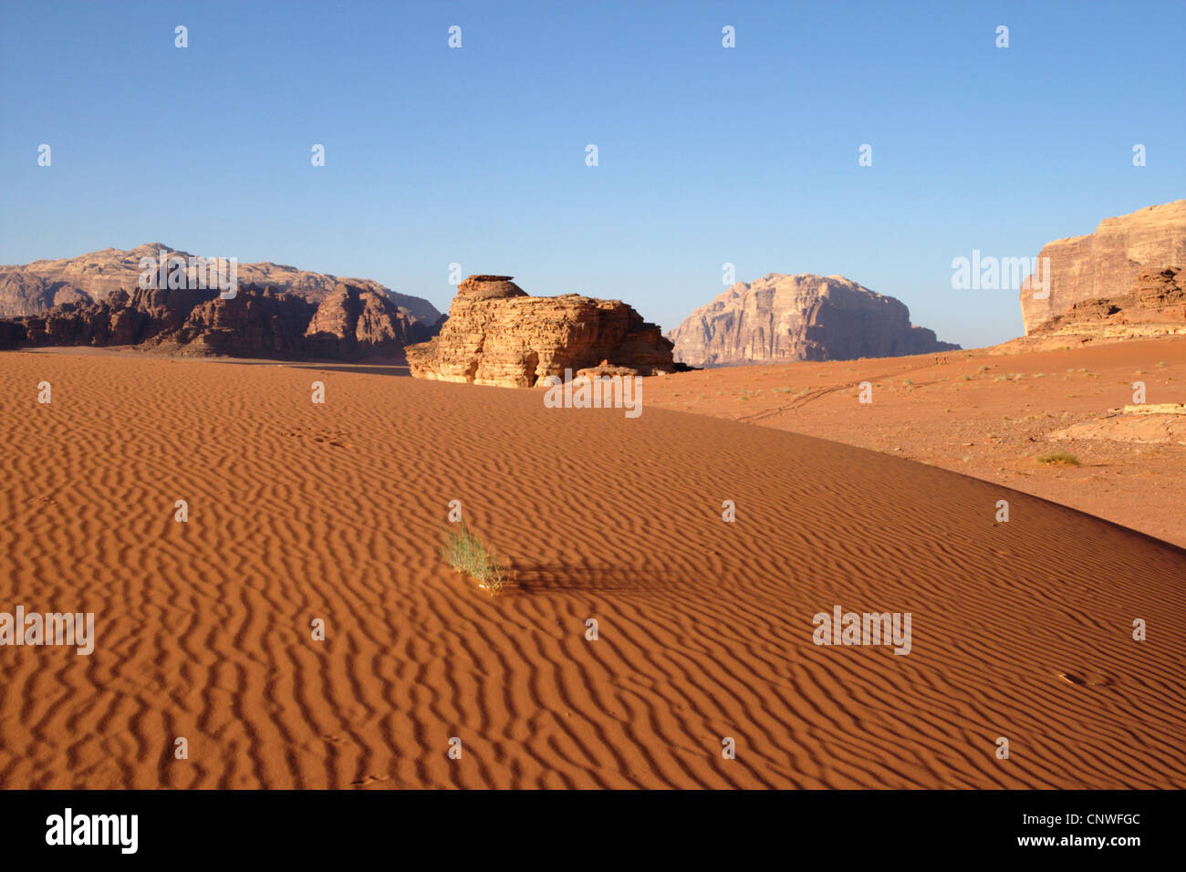 Désert du Wadi Rum, Jordanie Banque D'Images