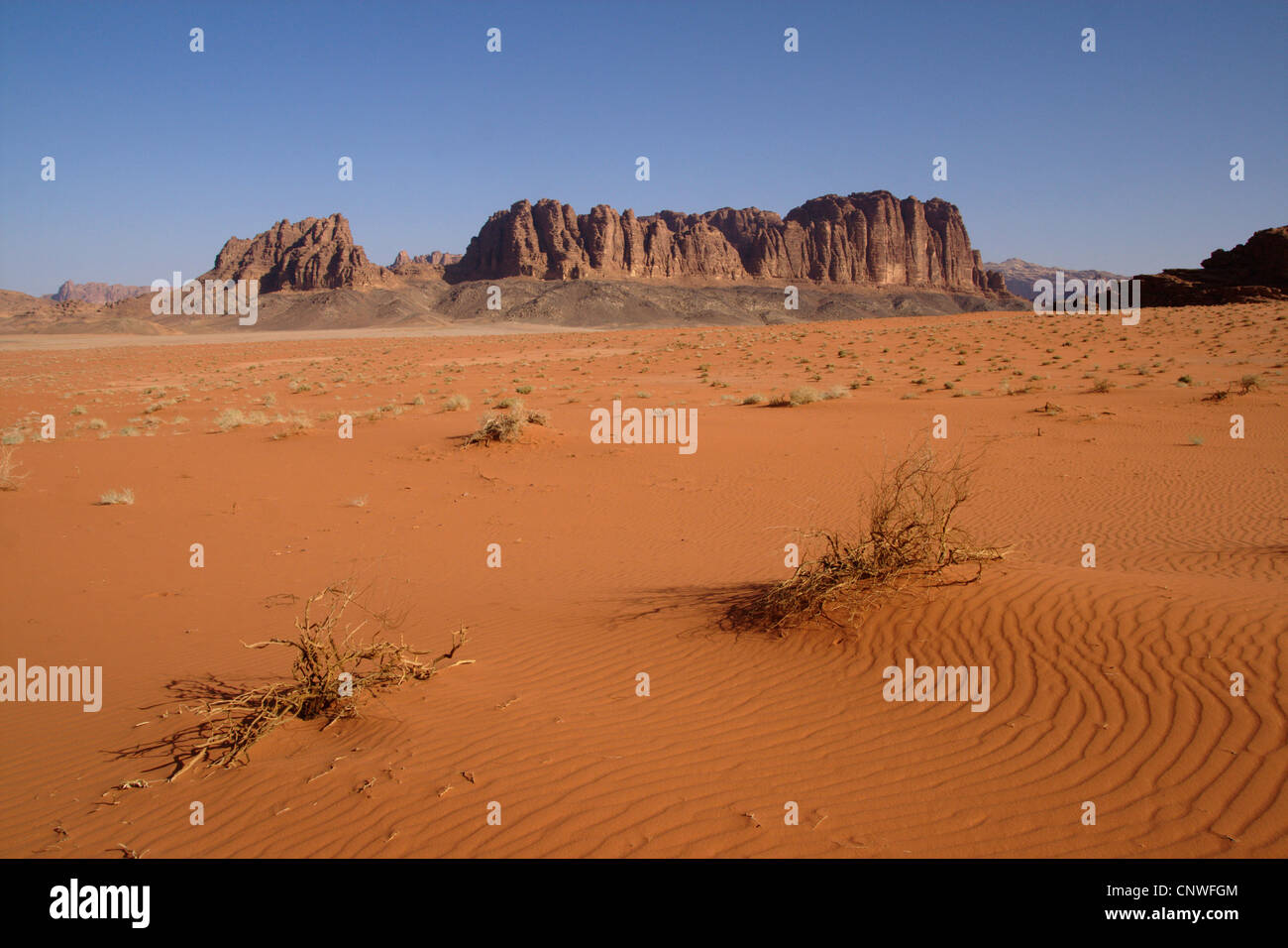 Désert du Wadi Rum, Jordanie Banque D'Images