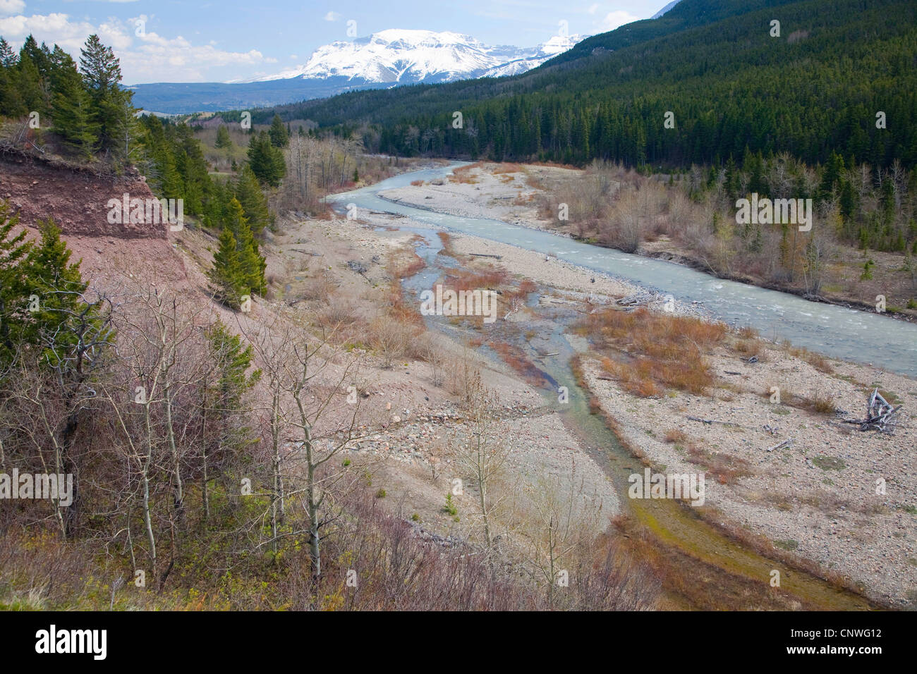 Vue de Cameron Creek, Canada, Alberta, Waterton Lakes National Park Banque D'Images