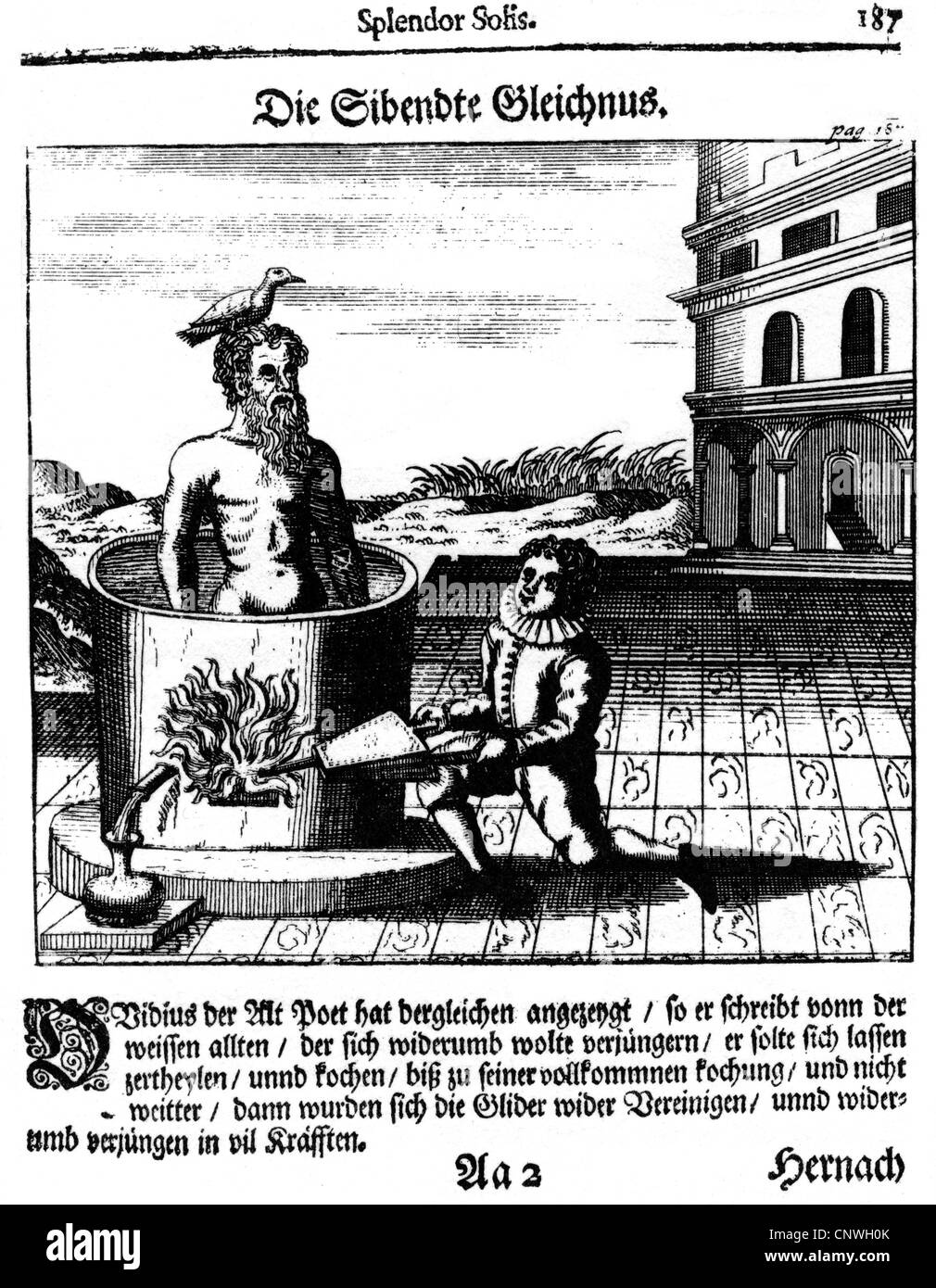 L'alchimie, allégories, renouvellement, 'La cuisine de l'ancien', gravure sur cuivre, douce est la solis" de Salomon Trismosin, Rorschach, Suisse, 1599, l'artiste n'a pas d'auteur pour être effacé Banque D'Images