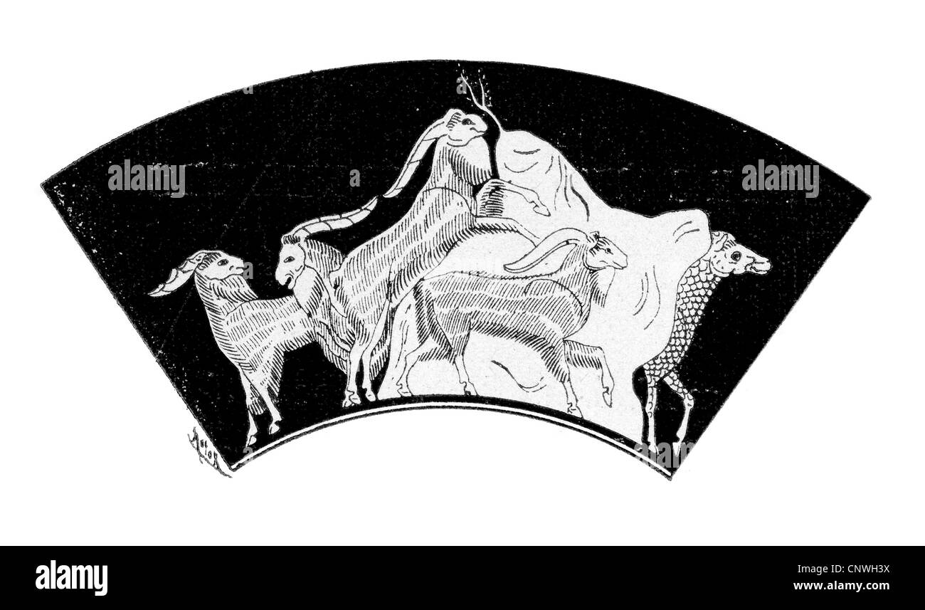 Un troupeau de chèvres dans un style grec classique Banque D'Images Un troupeau de chèvres dans un style grec classique Banque D'Images
