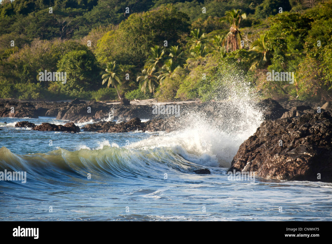 Côte et surfez près de Montezuma, Péninsule de Nicoya, Costa Rica, Amérique Centrale Banque D'Images
