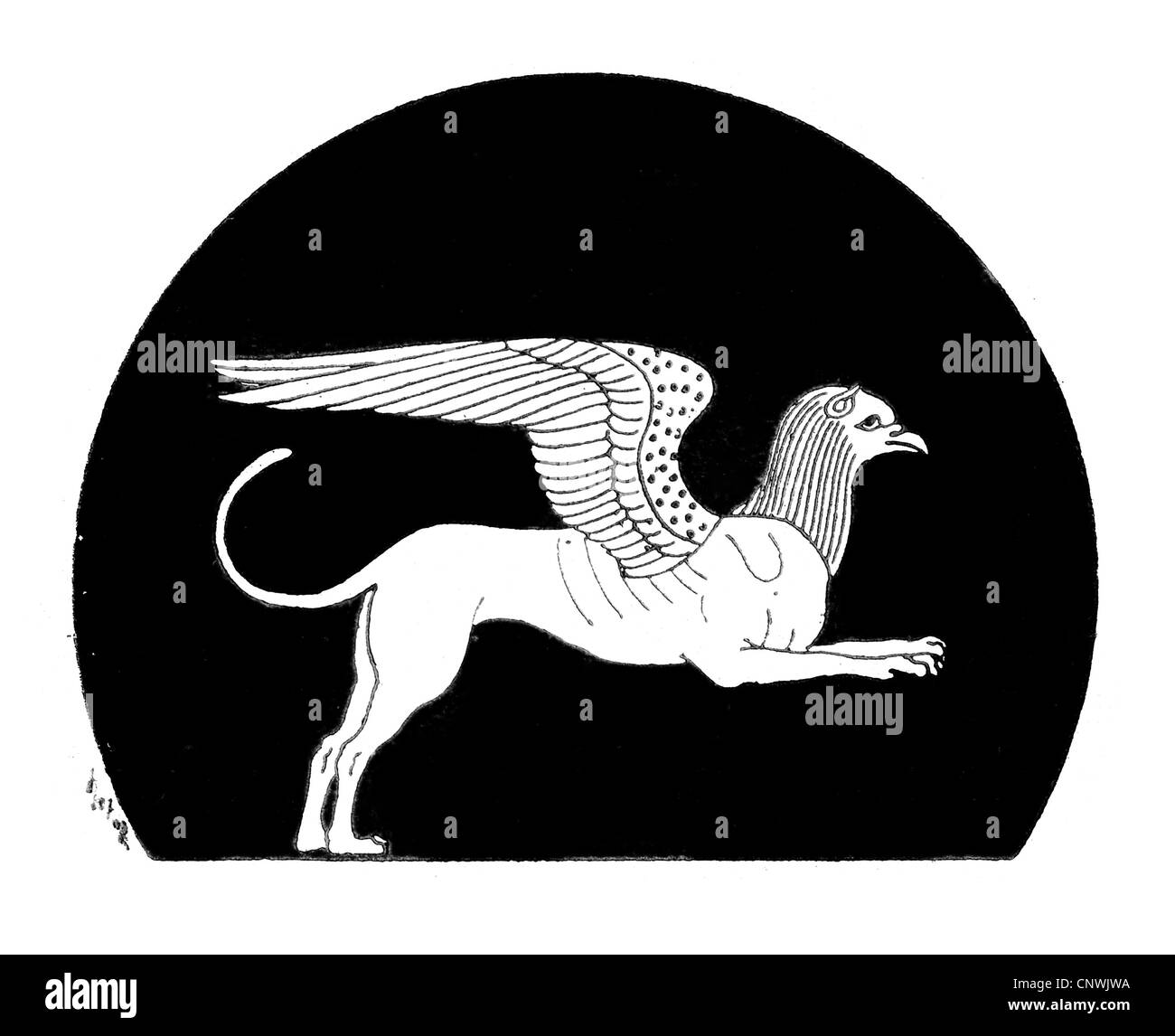 Vintage print d'un Griffin dans un style grec classique Banque D'Images Vintage print d'un Griffin dans un style grec classique Banque D'Images