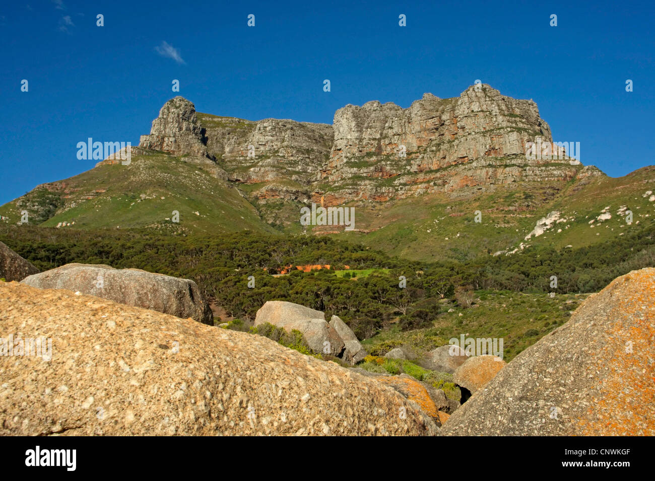 Table Mountain, Afrique du Sud, Western Cape, Parc National de Table Mountain, Cape Town Banque D'Images