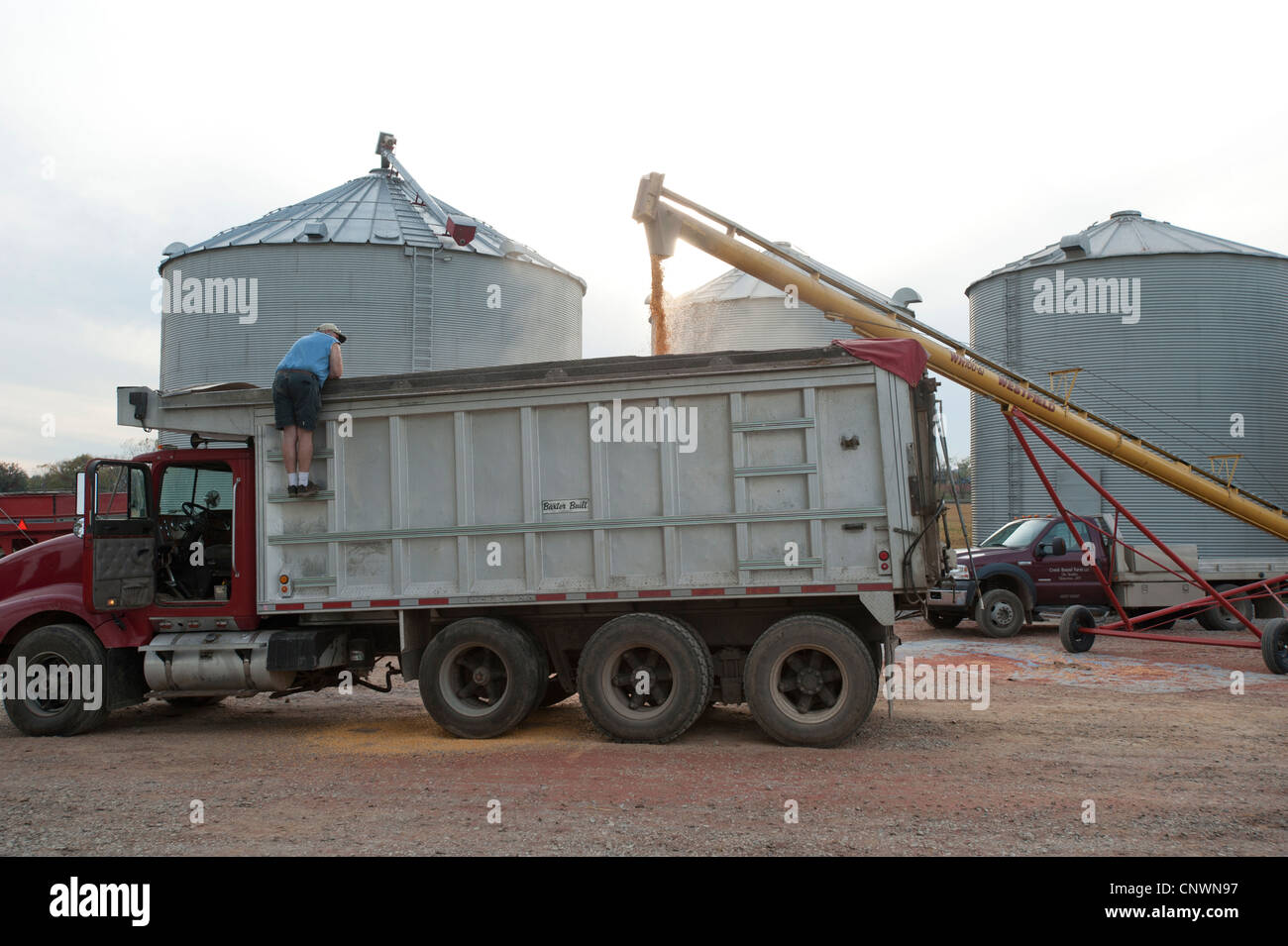 Chariot de remplissage avec grain sur grain ferme opération Banque D'Images