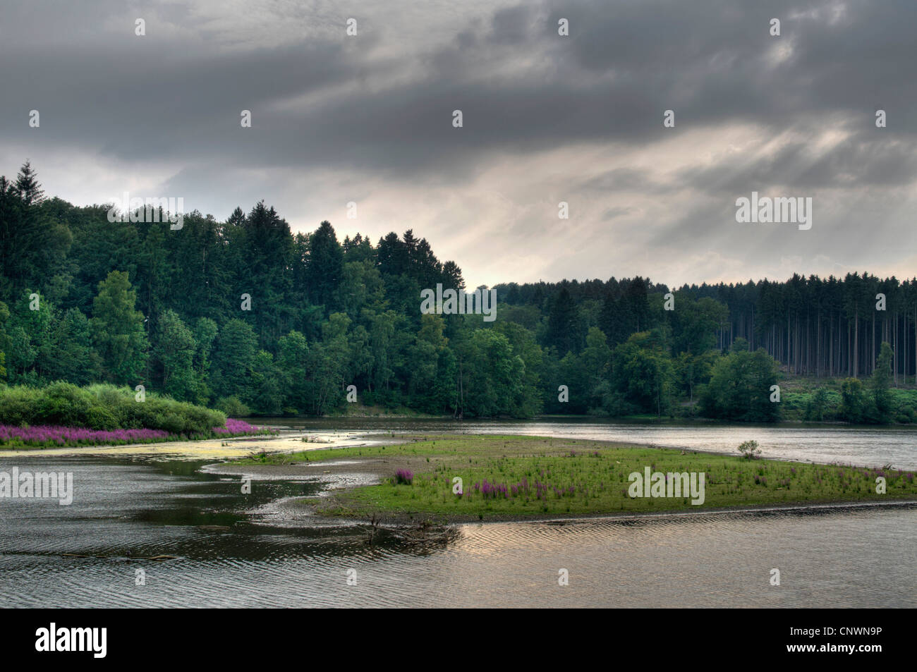 Suite à un lac au milieu de l'eau faible, l'Allemagne, en Rhénanie du Nord-Westphalie, Moehnesee Banque D'Images