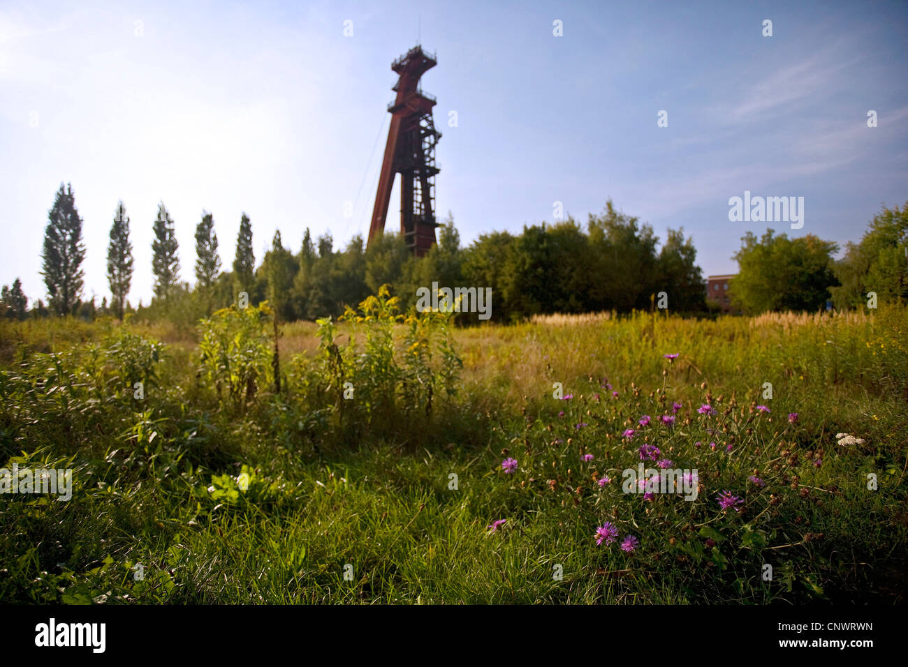 Les friches industrielles sur le territoire de l'ancienne mine de charbon Monopol, coiffures en arrière-plan, l'Allemagne, en Rhénanie du Nord-Westphalie, Ruhr, Kamen Banque D'Images
