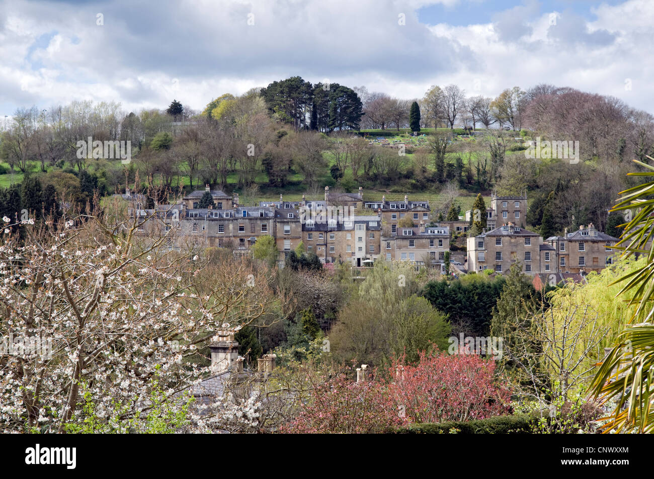 Voir plus de Beechen Cliff pris de Widcombe, baignoire, Somerset, Royaume-Uni au printemps Banque D'Images