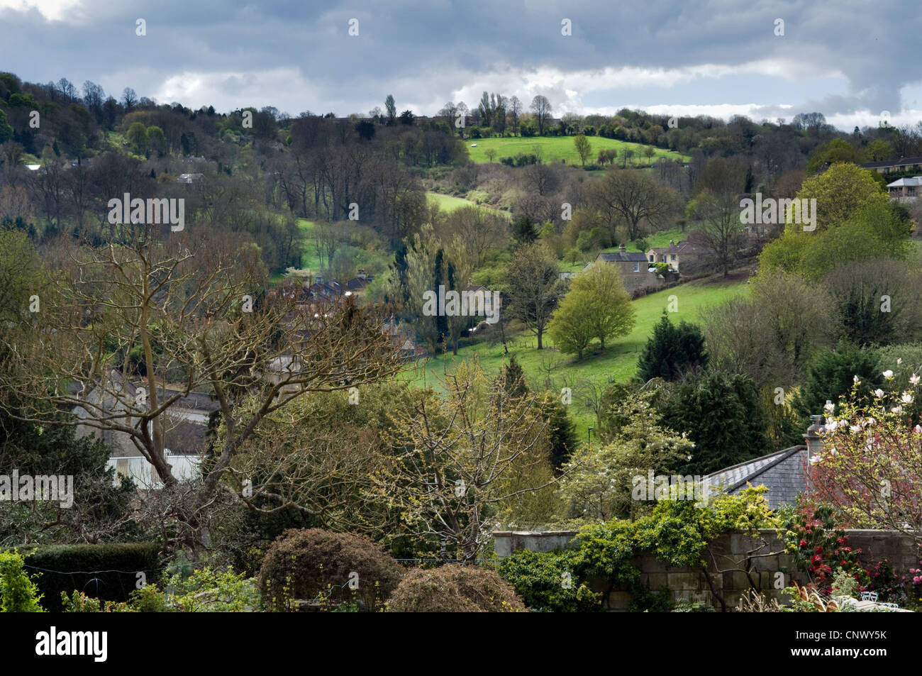 Vue panoramique des prises de Lyncombe Vale Widcombe, baignoire, Somerset, Royaume-Uni au printemps Banque D'Images