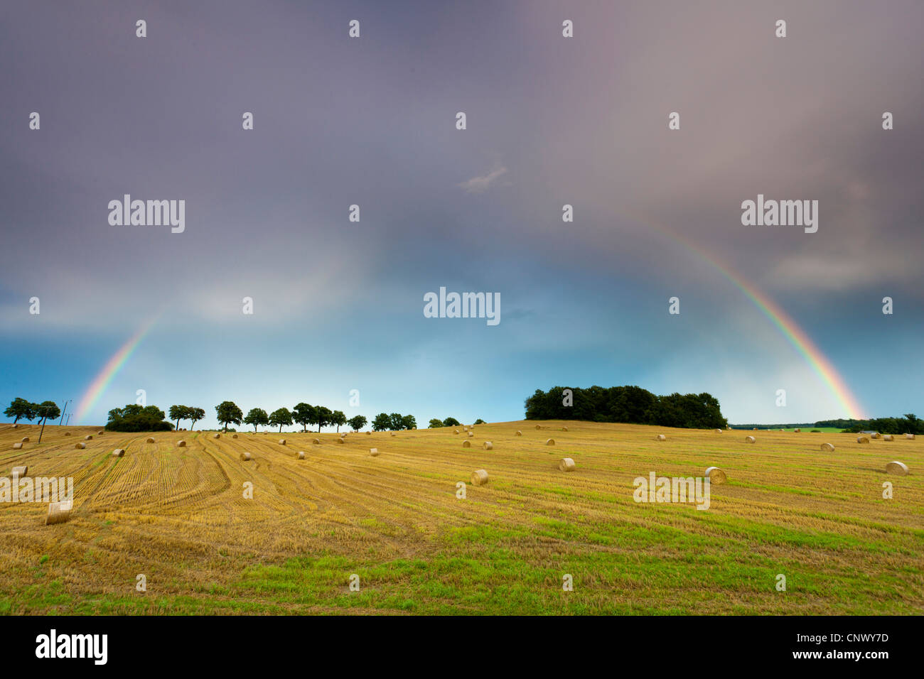 Arc-en-ciel sur un champ moissonné avec haybales, Allemagne, Saxe Banque D'Images