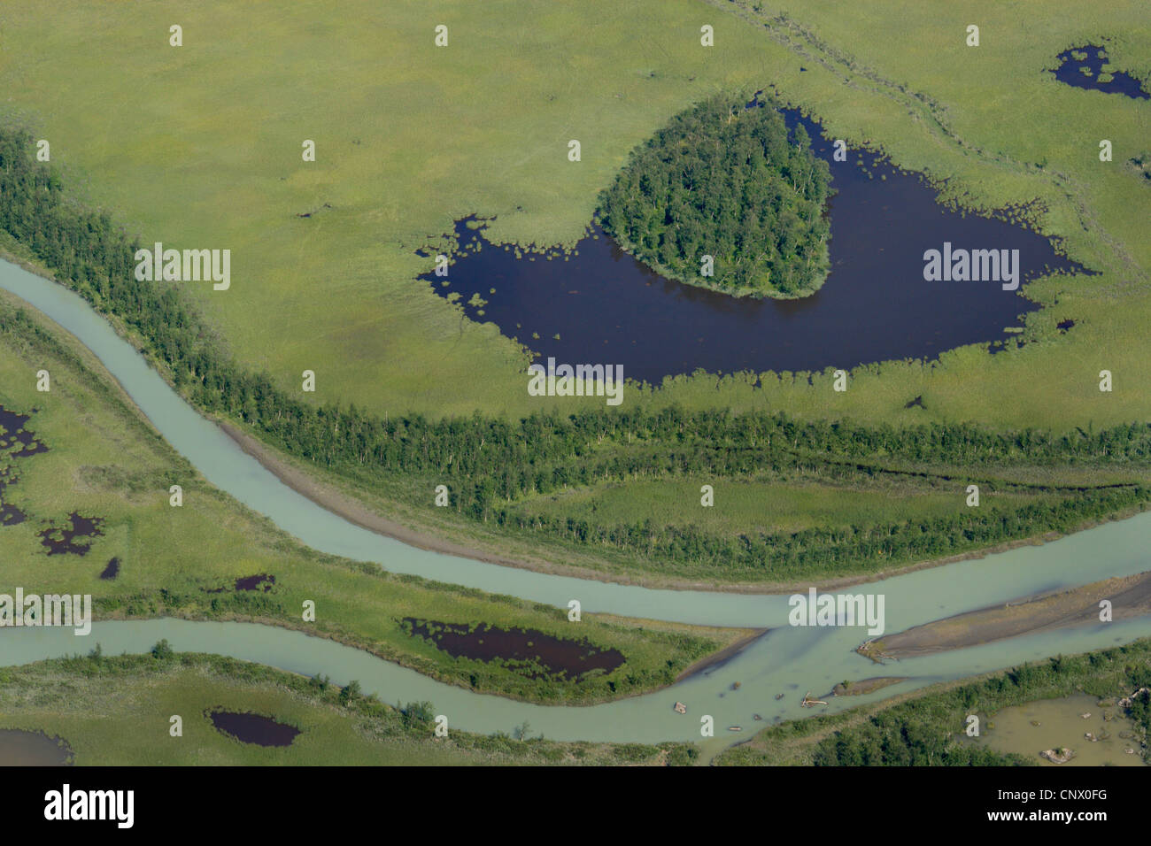 Rapa River delta à Rapa Valley, la Suède, la Laponie, Sarek National Park Banque D'Images