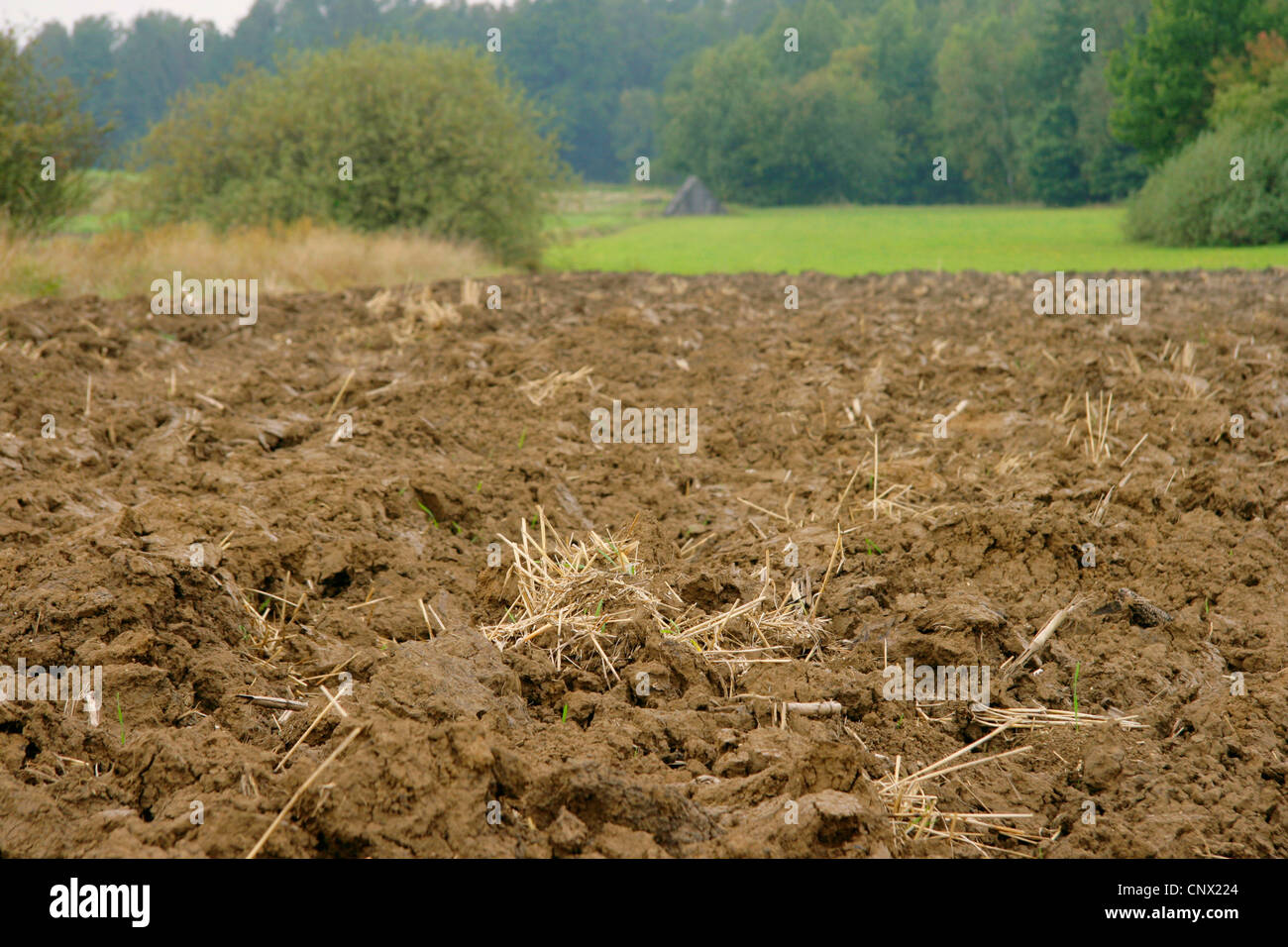 Acre labouré, Germany Banque D'Images