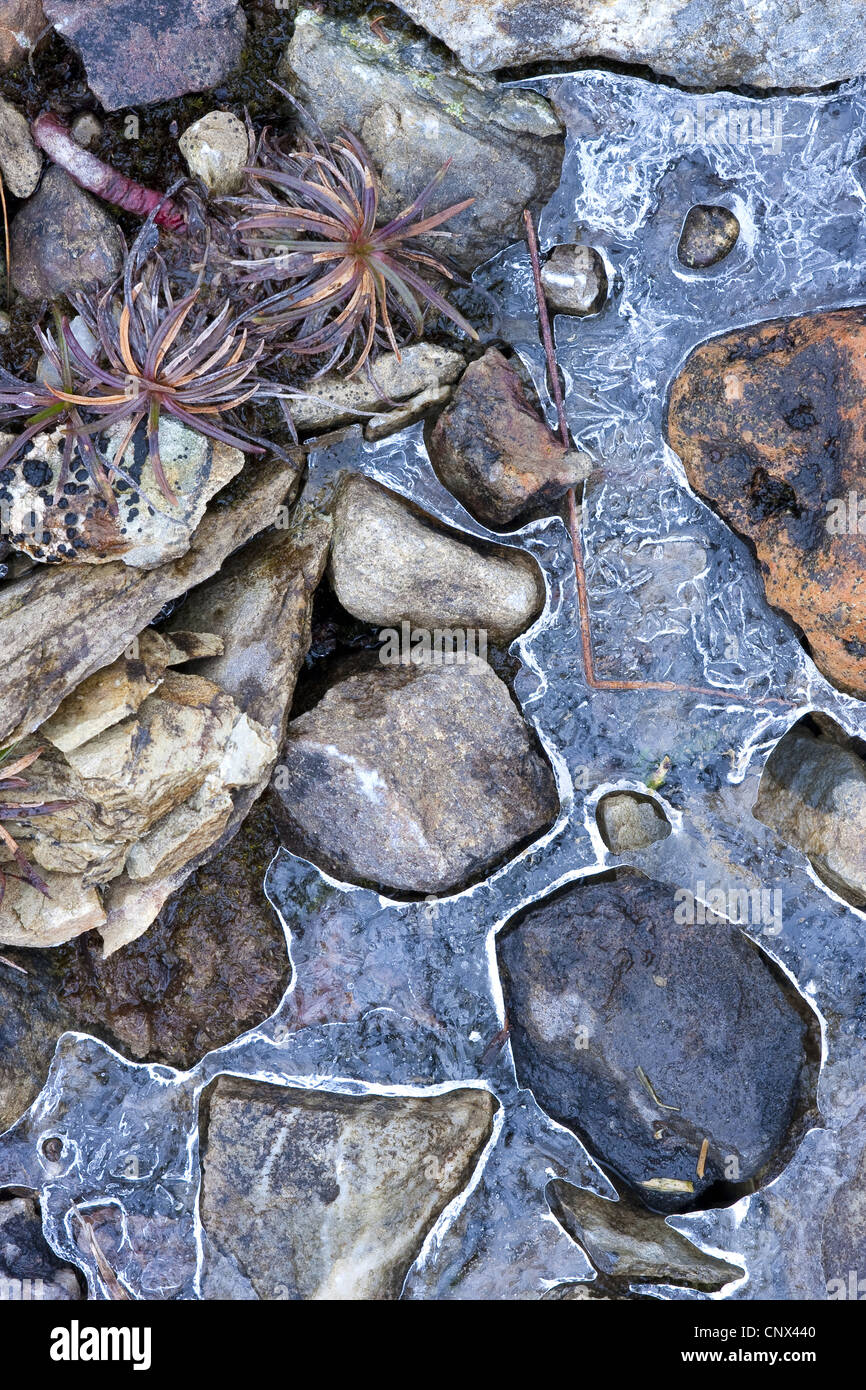 Un ruisseau gelé, l'Allemagne, en Rhénanie du Nord-Westphalie, Siegerland Banque D'Images