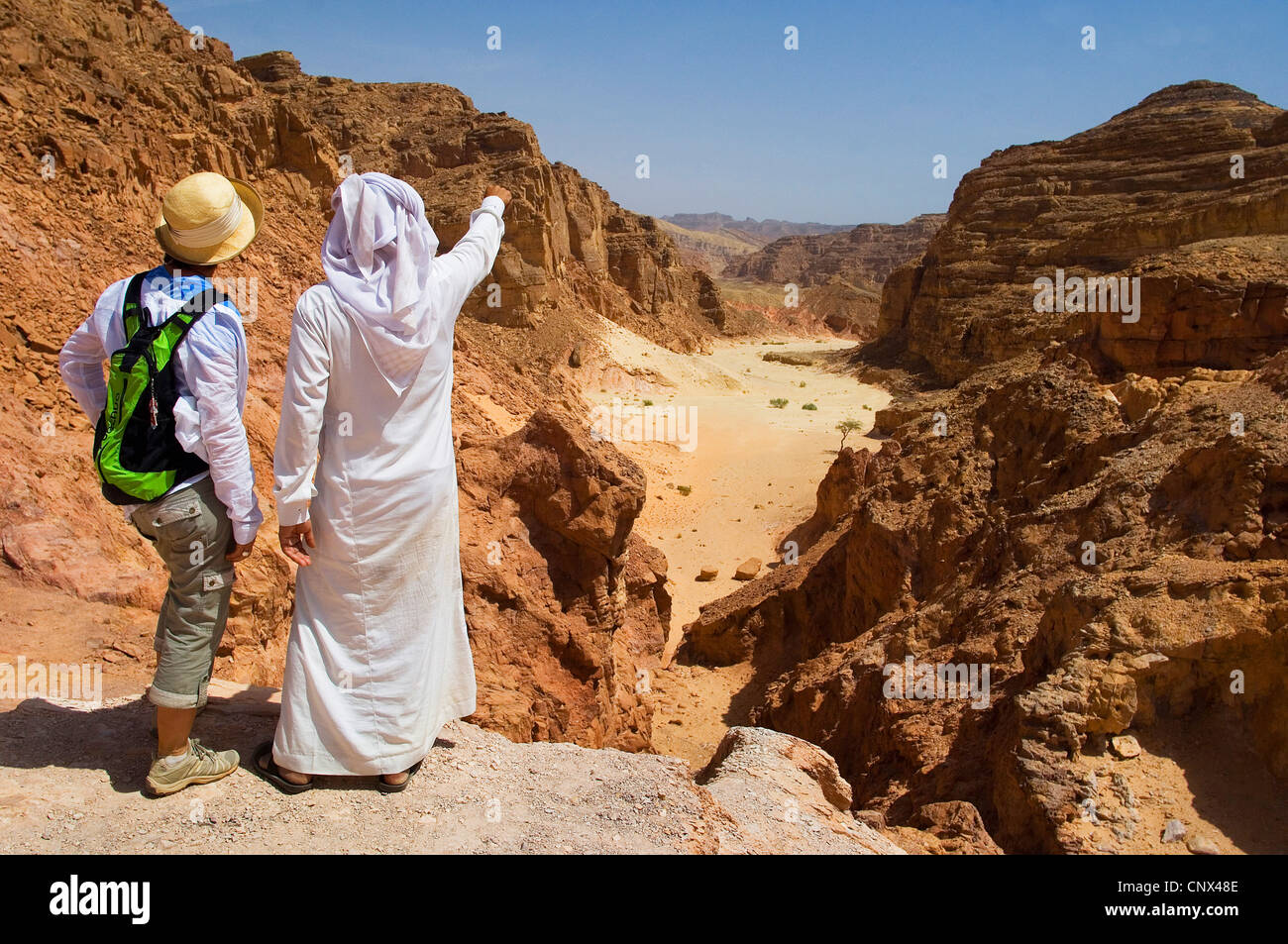 Guide bédouin montrant un touriste le canyon paysage de désert du Sinaï d'une colline, l'Egypte, le Sinaï Banque D'Images