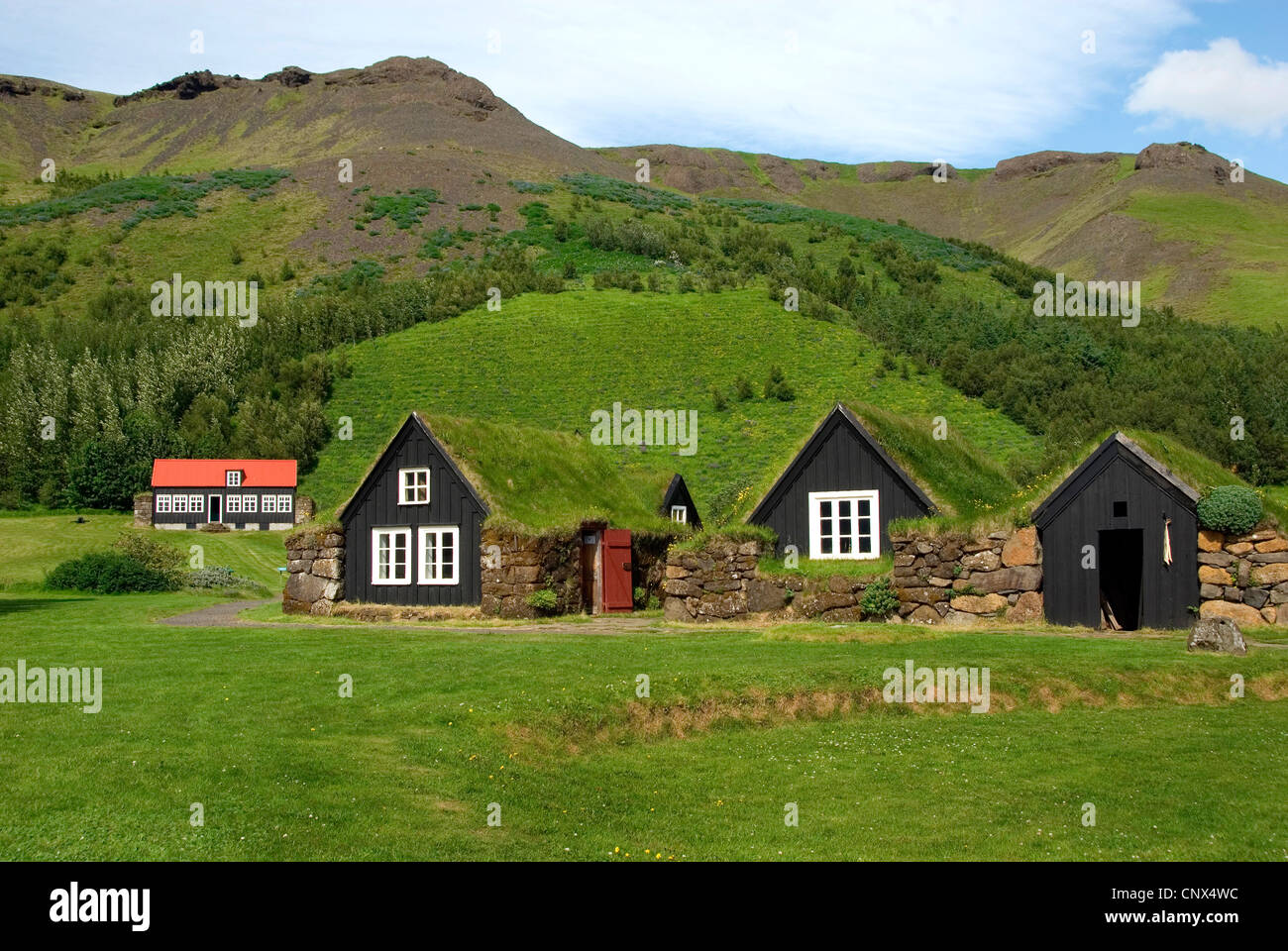 Musée d'histoire locale et musée en plein air avec Skogasafn huttes , Islande, Skogar Banque D'Images