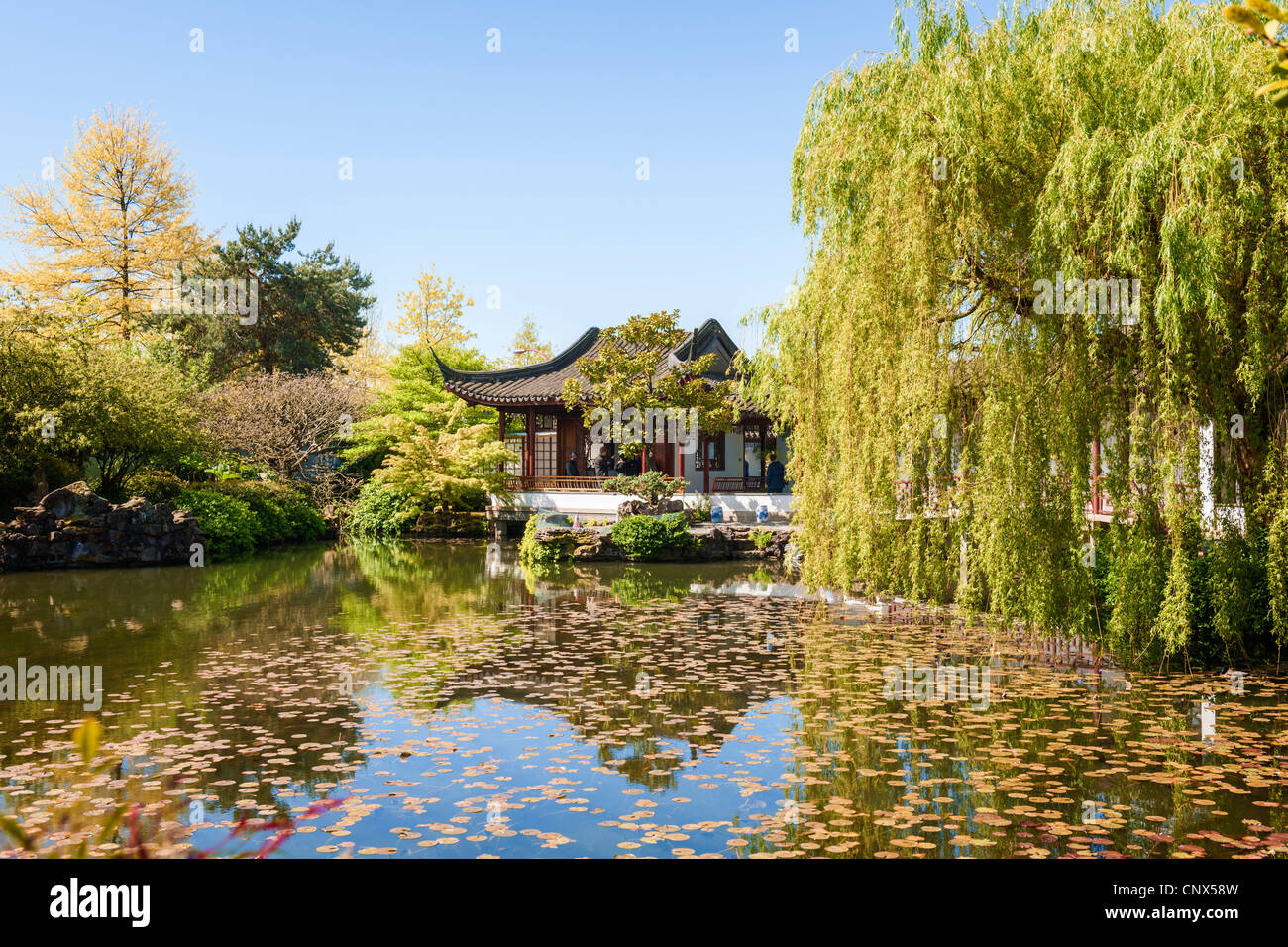 Dr. Sun Yat-Sen Park, Vancouver Banque D'Images