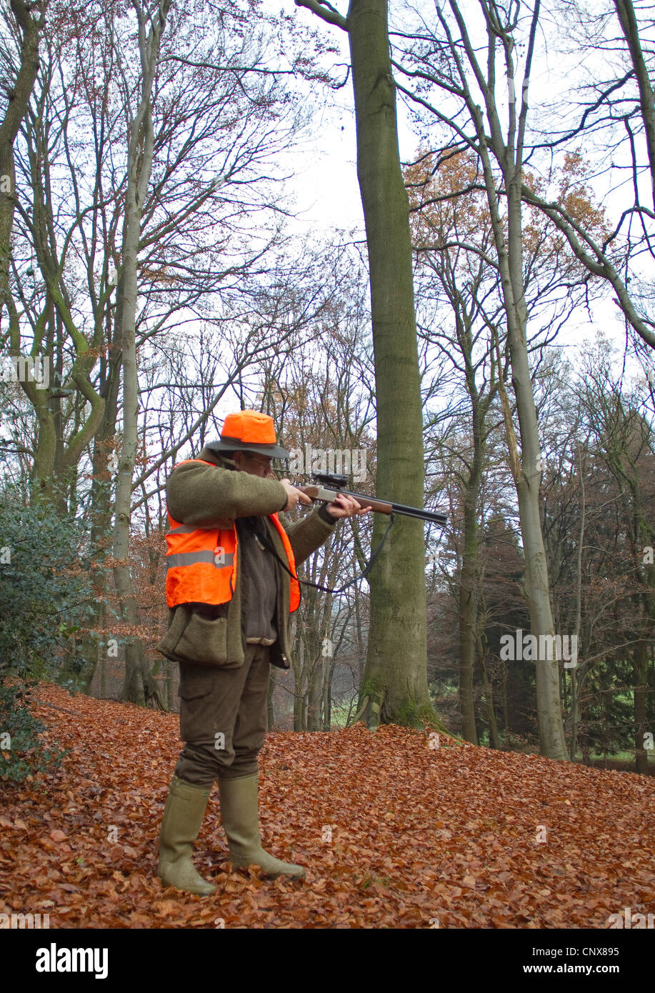 Shooter d'une battue debout dans une forêt de hêtres en automne avec la carabine de niveau, Allemagne Banque D'Images