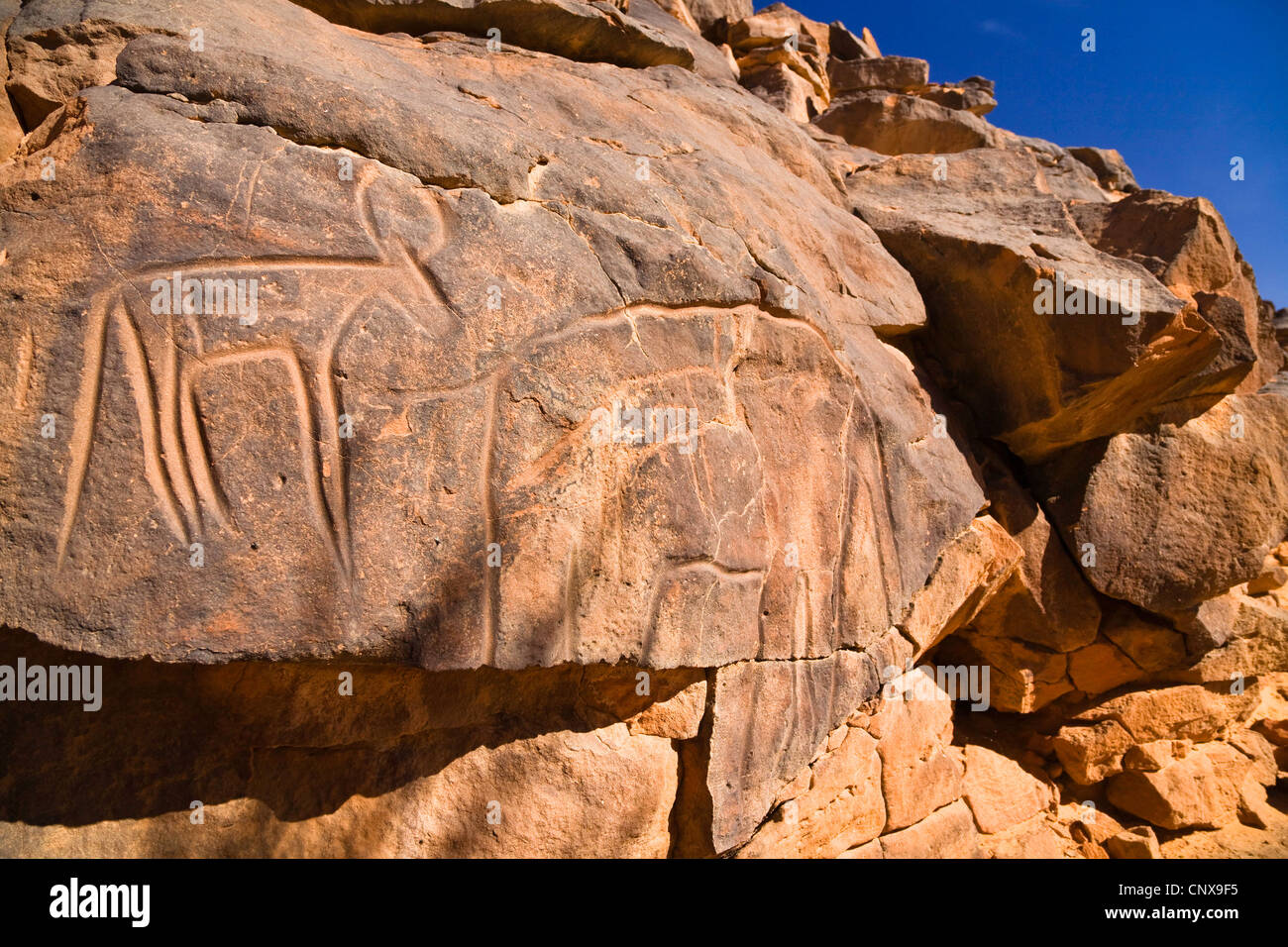 La gravure d'une antilope rock dans la pierre désert du Wadi Mathendous, Libye, Sahara Banque D'Images