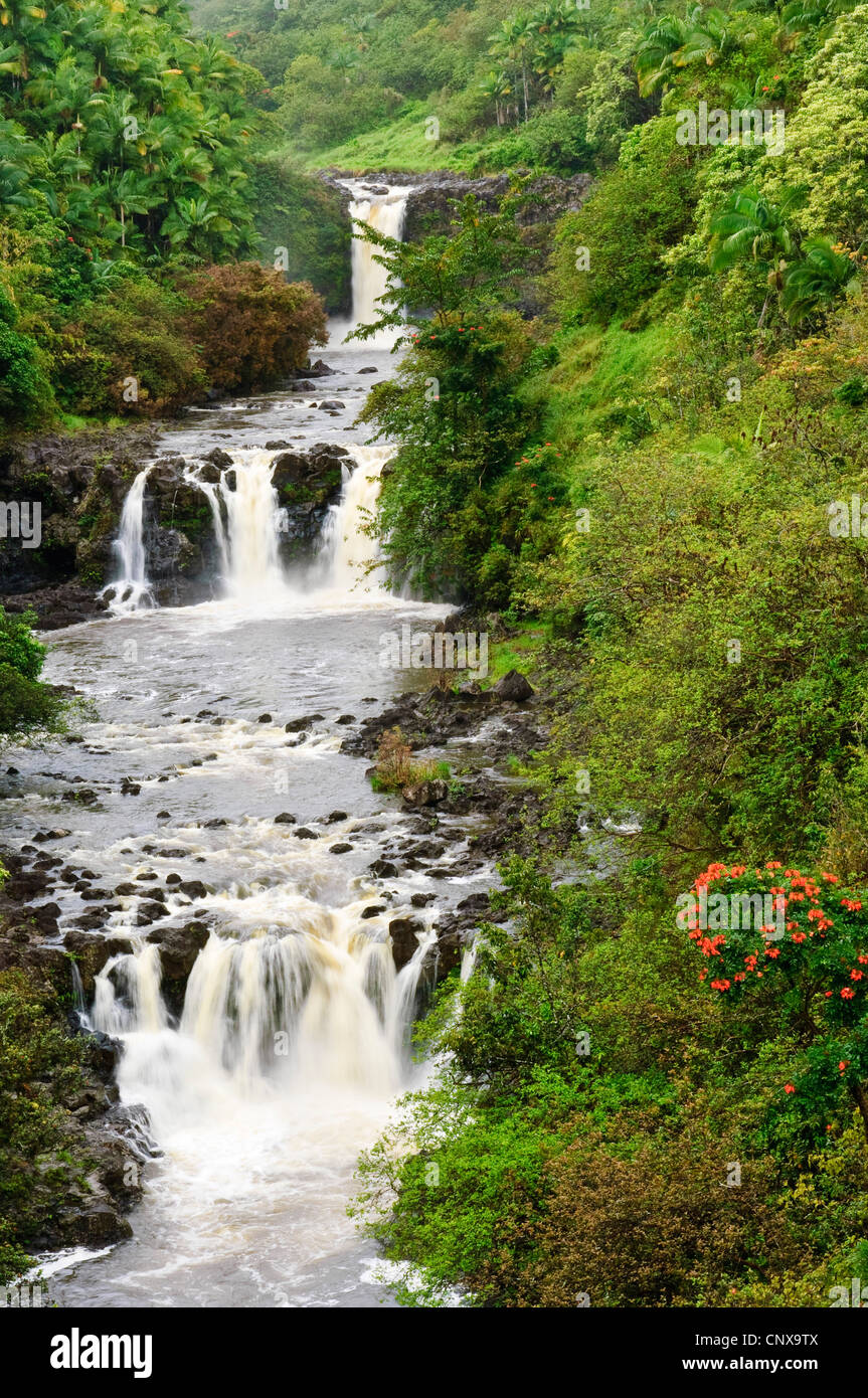 Chutes Umauma, USA, Washington, World Botanical Garden, Hilo Banque D'Images