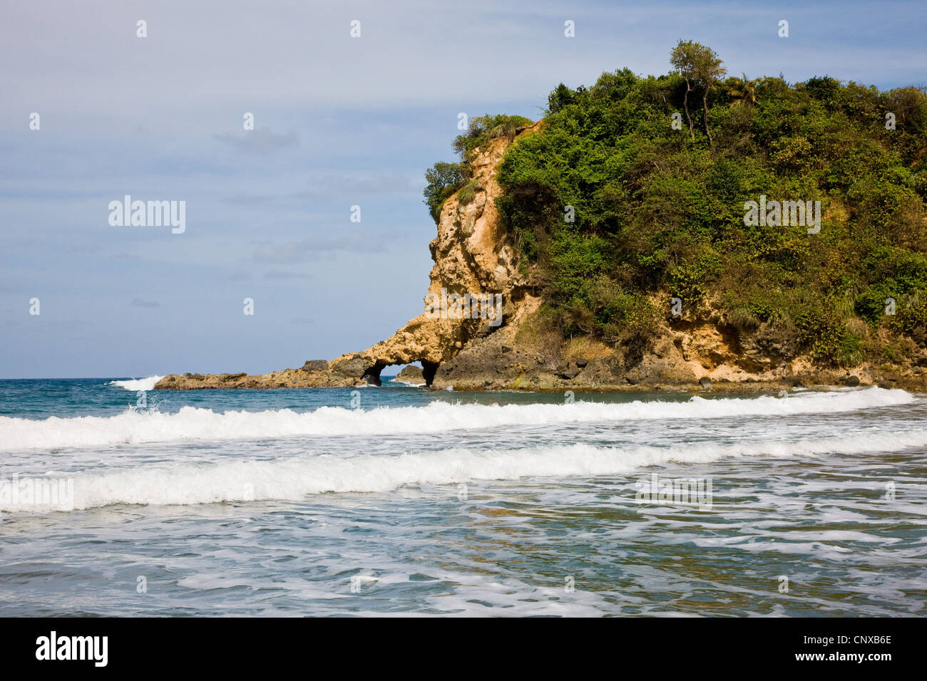 Petit arc volcanique érodée à pointe à Hampstead Bay sur la côte nord-est de la Dominique Antilles Banque D'Images