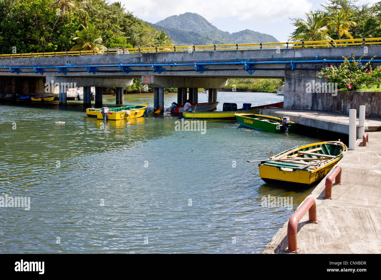 Barques attendent des passagers sur l'estuaire de la rivière indienne en Dominique Antilles Banque D'Images