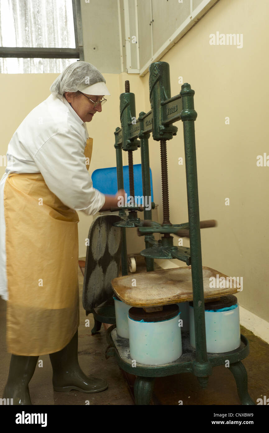 La fabrication du fromage à la ferme - Curworthy Devon Le caillé est pressé dans presses classiques dans le cadre du processus de production Banque D'Images