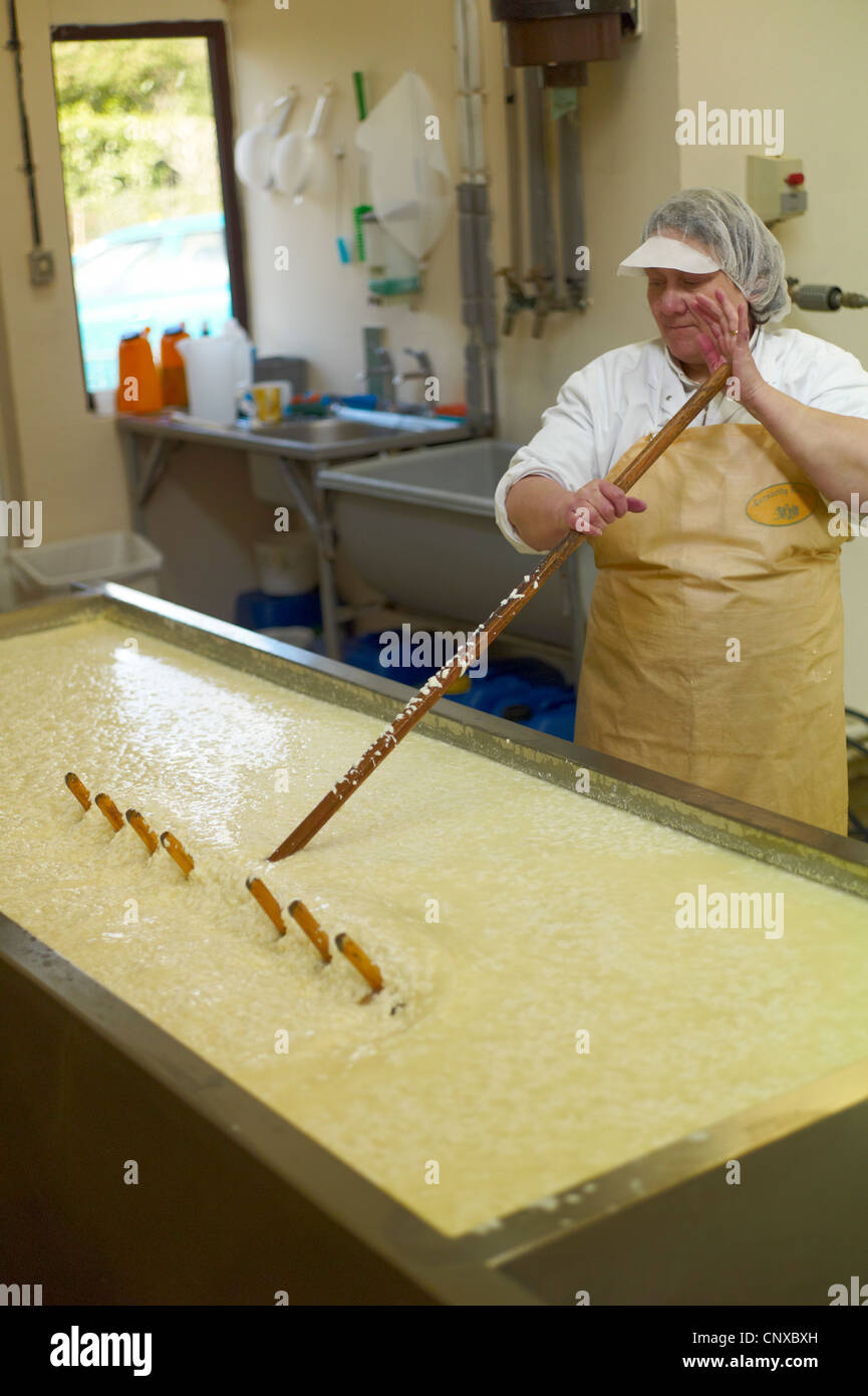La fabrication du fromage à Curworthy - Devon ferme mélanger la crème et cours dans les premières étapes de la fabrication du fromage Banque D'Images