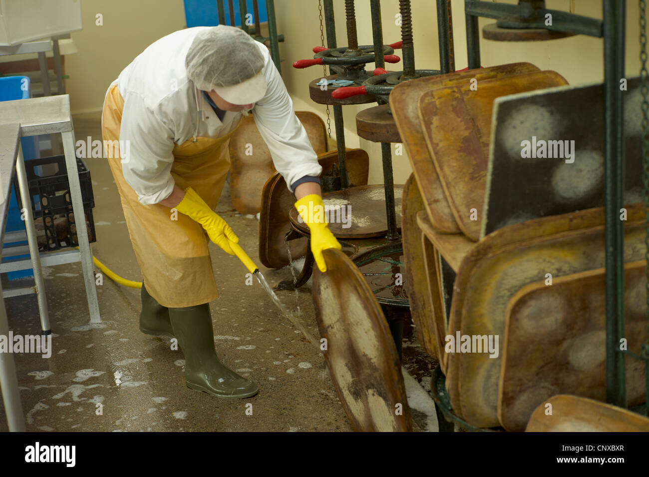 La fabrication du fromage à Curworthy Devon ferme - nettoyage de la presse à fromage Banque D'Images