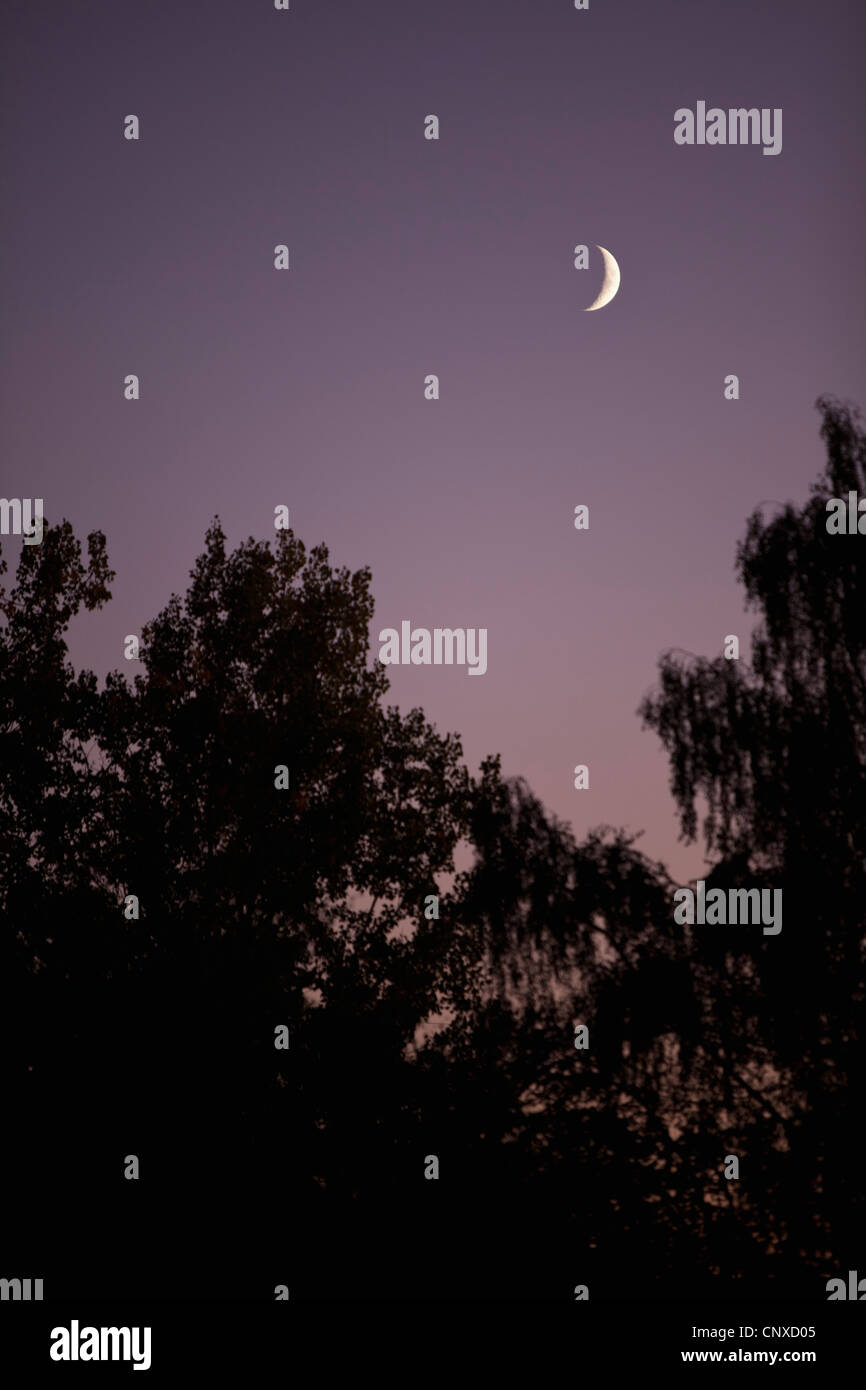 Un croissant de lune au crépuscule Banque D'Images