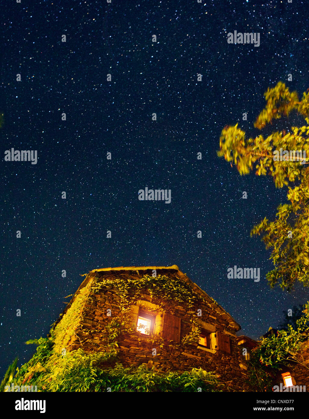 Une maison couverte de lierre sous une étoile rempli ciel nocturne Banque D'Images