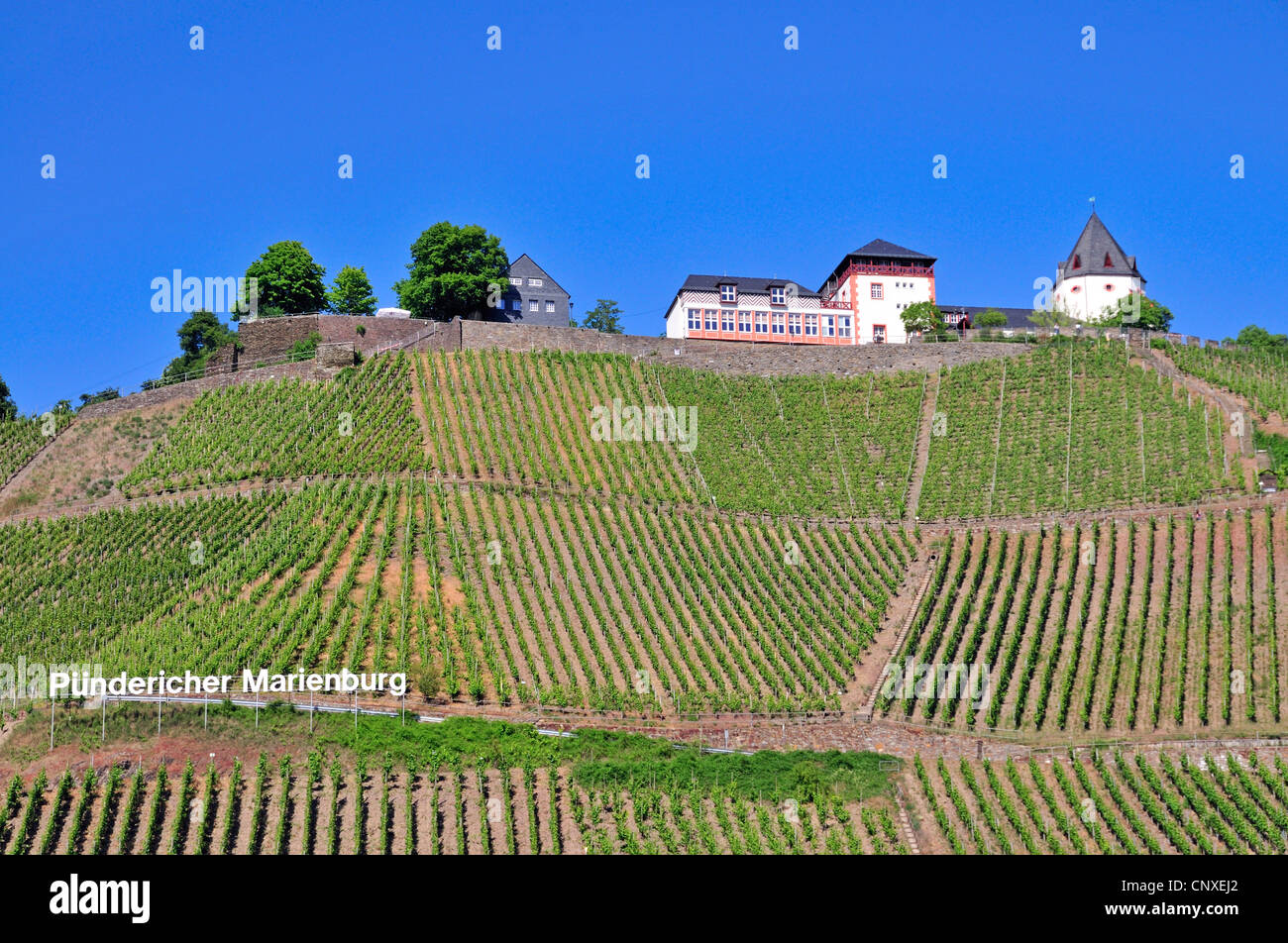 Château de marienburg en Puendericher district viticole Marienburg en vallée de la Moselle, en Allemagne, en Rhénanie-Palatinat, dans l'Puenderich Banque D'Images