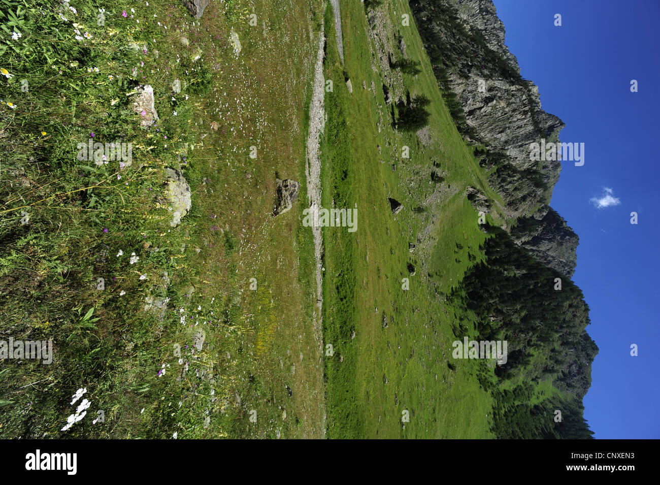 Paysage alpin, l'Italie, Alpes Banque D'Images