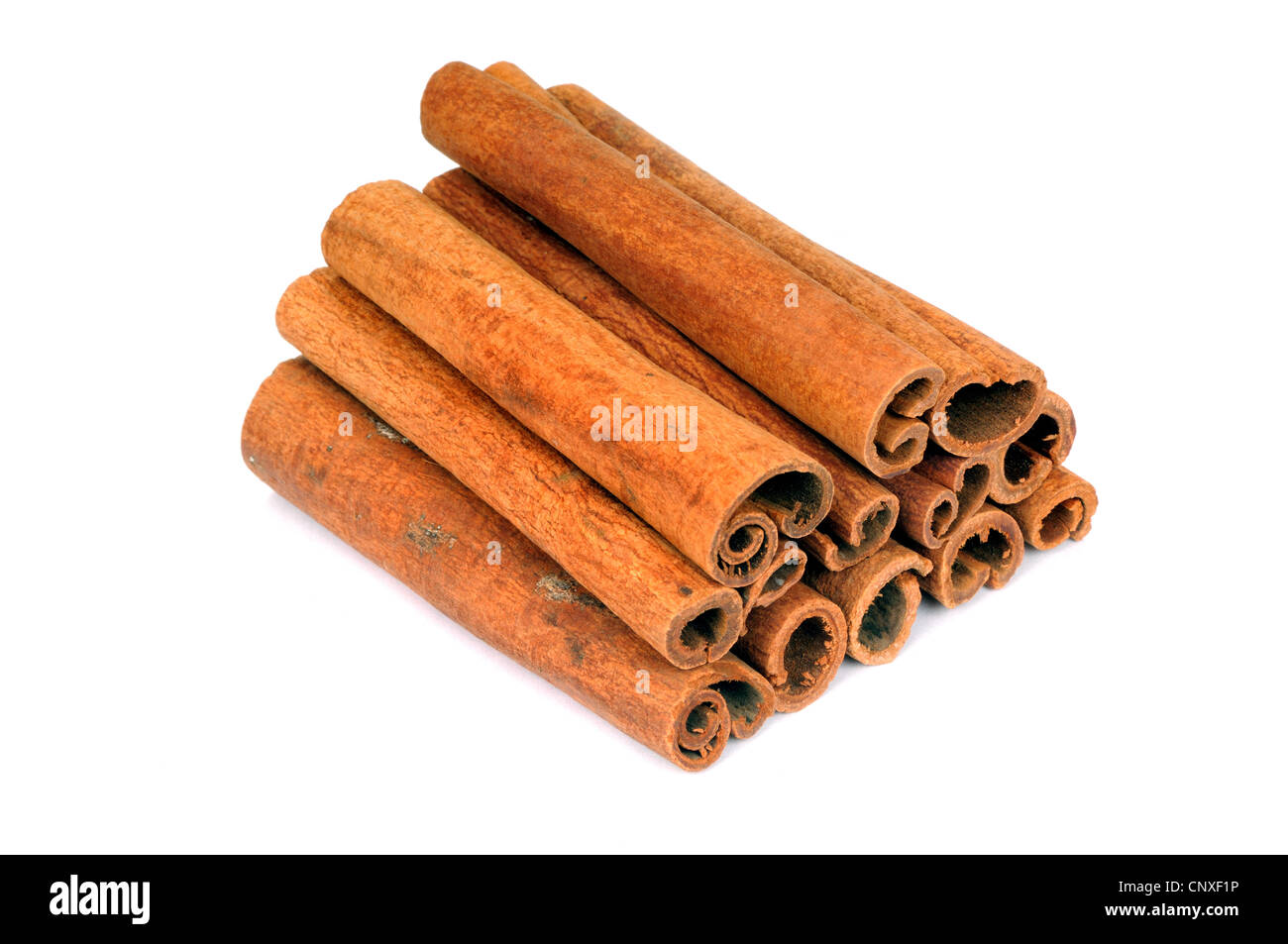 Cannelle (Cinnamomum spec.), bâtons de cannelle Banque D'Images
