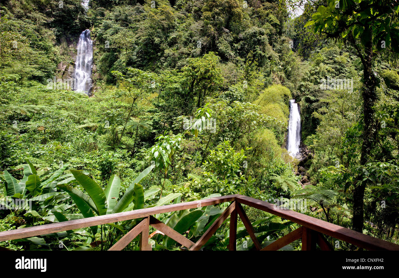 La chambre lits jumeaux Trafalgar Falls en Dominique sont une attraction touristique vue ici depuis la plate-forme facilement accessible Banque D'Images