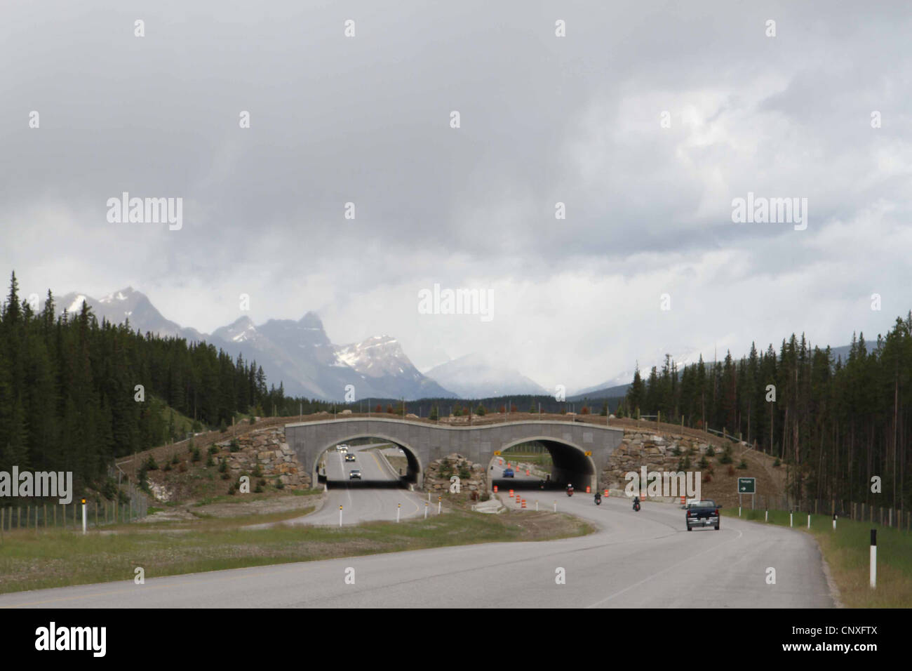 Passage à niveau de la faune, le parc national Banff, Alberta canada Banque D'Images